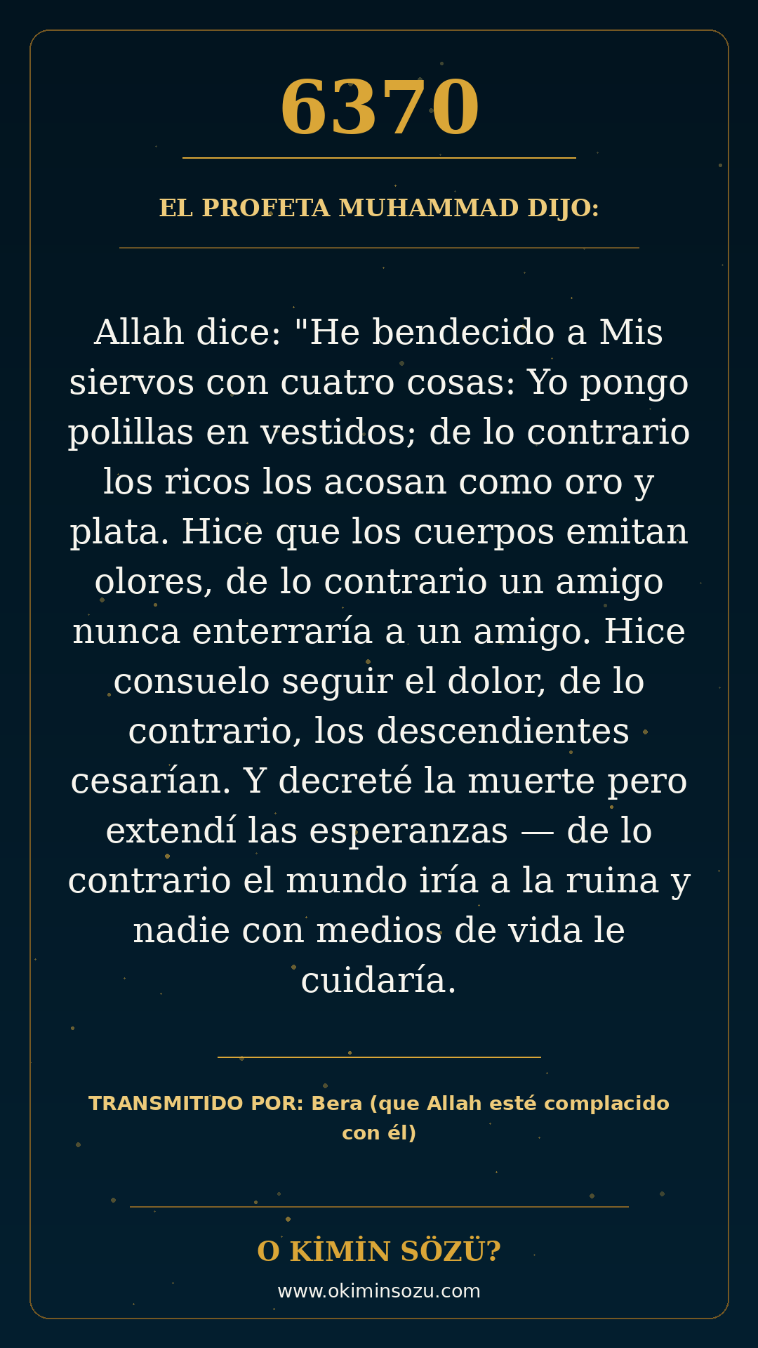 hadis 6370 es
