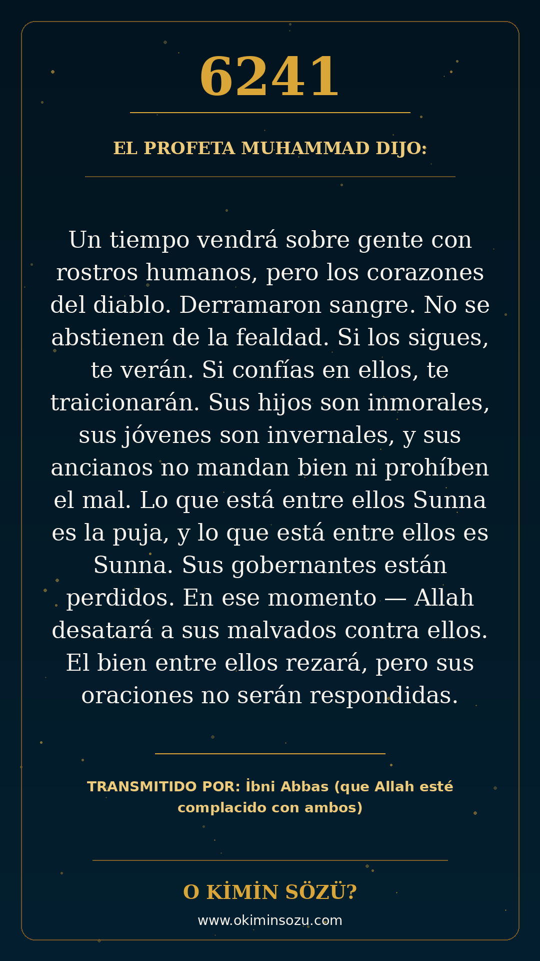 hadis 6241 es