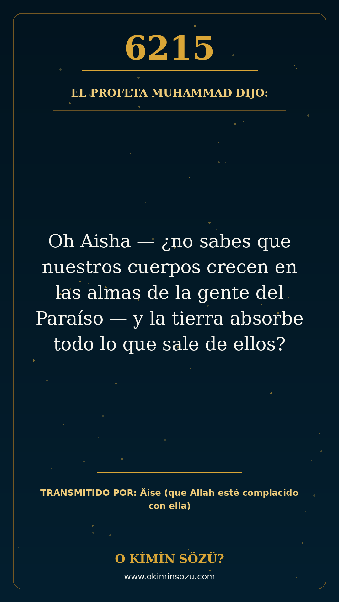 hadis 6215 es
