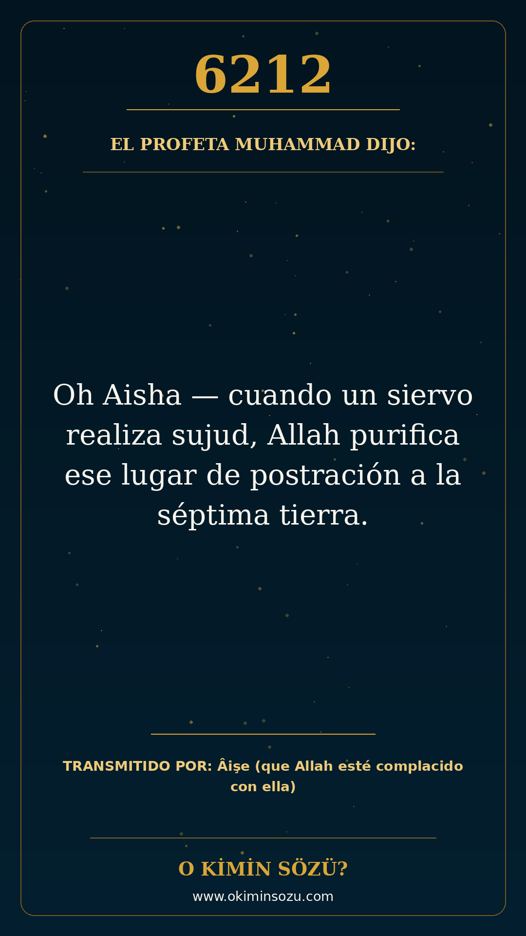 hadis 6212 es
