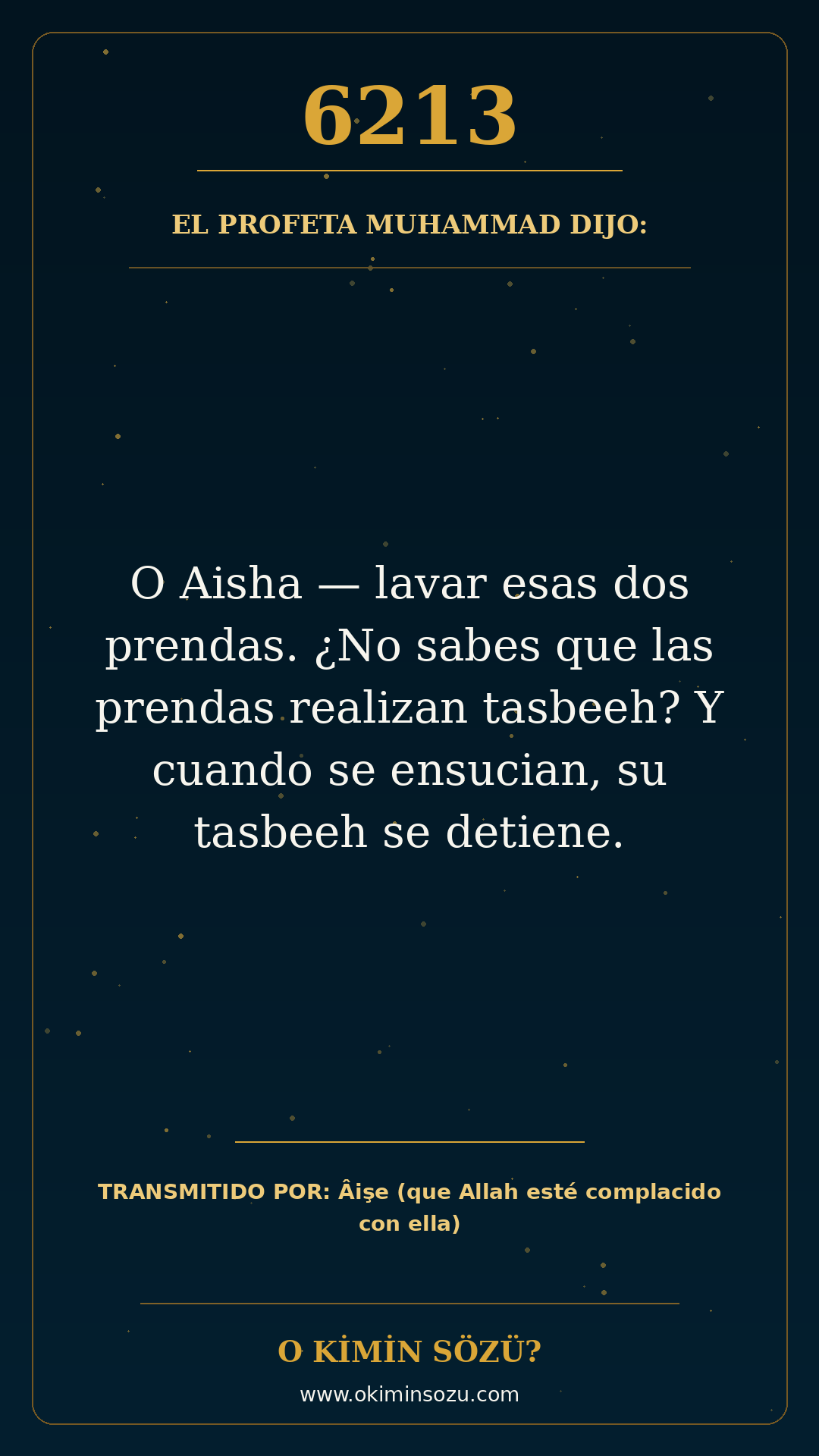 hadis 6213 es