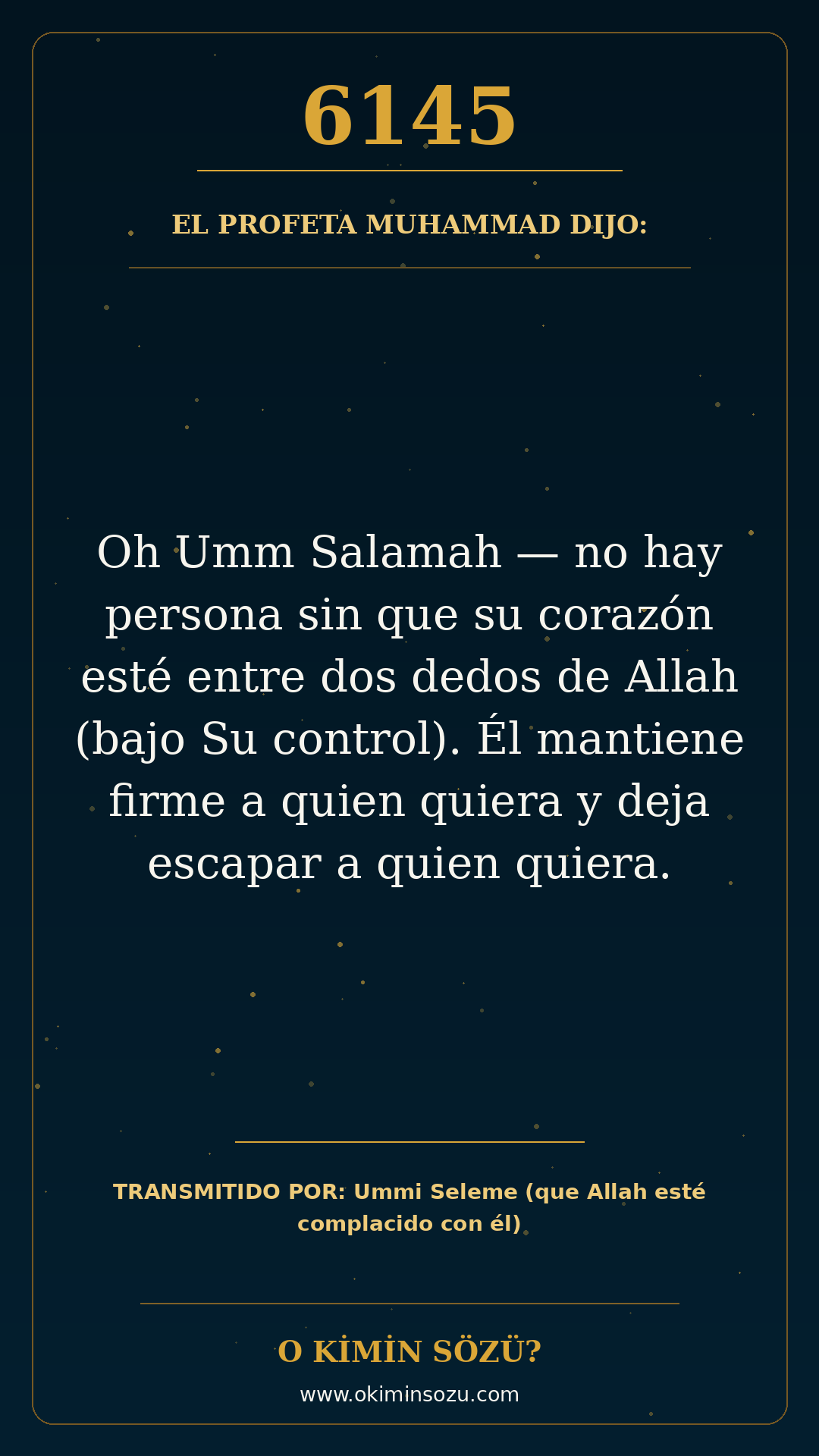 hadis 6145 es