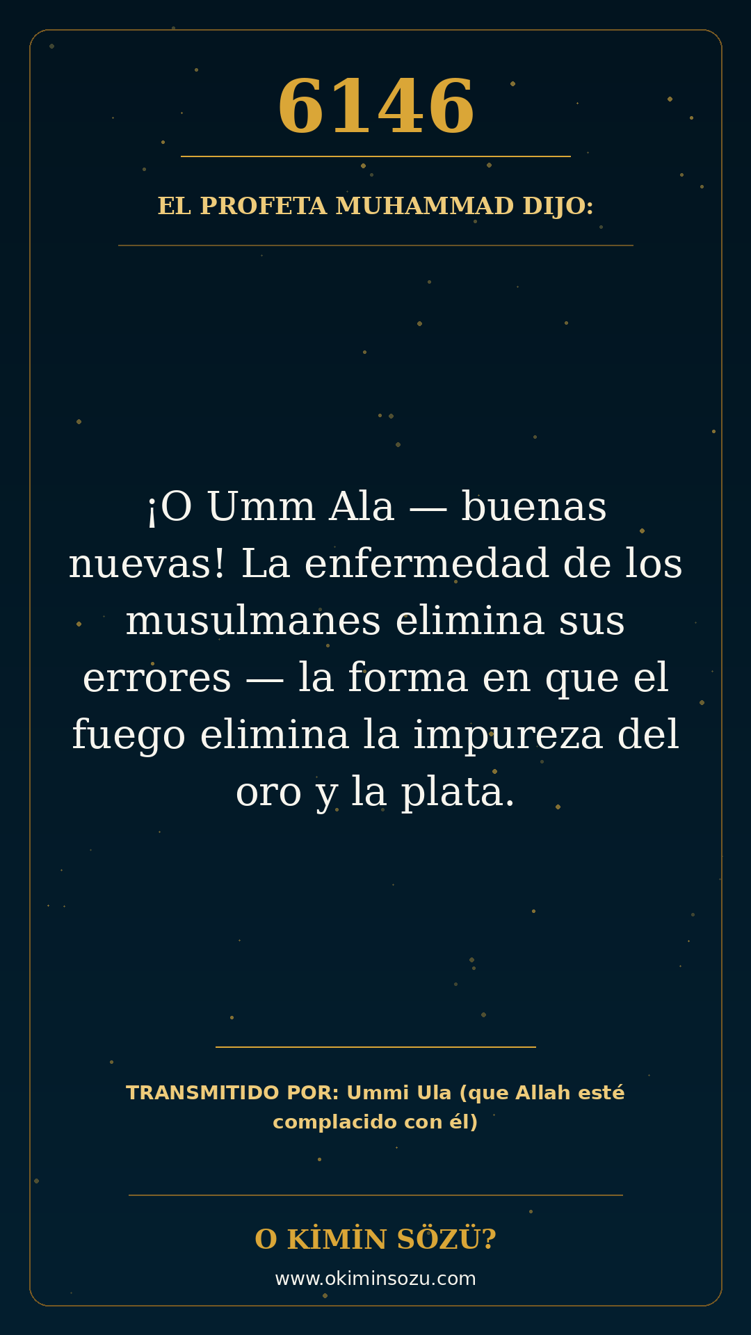 hadis 6146 es