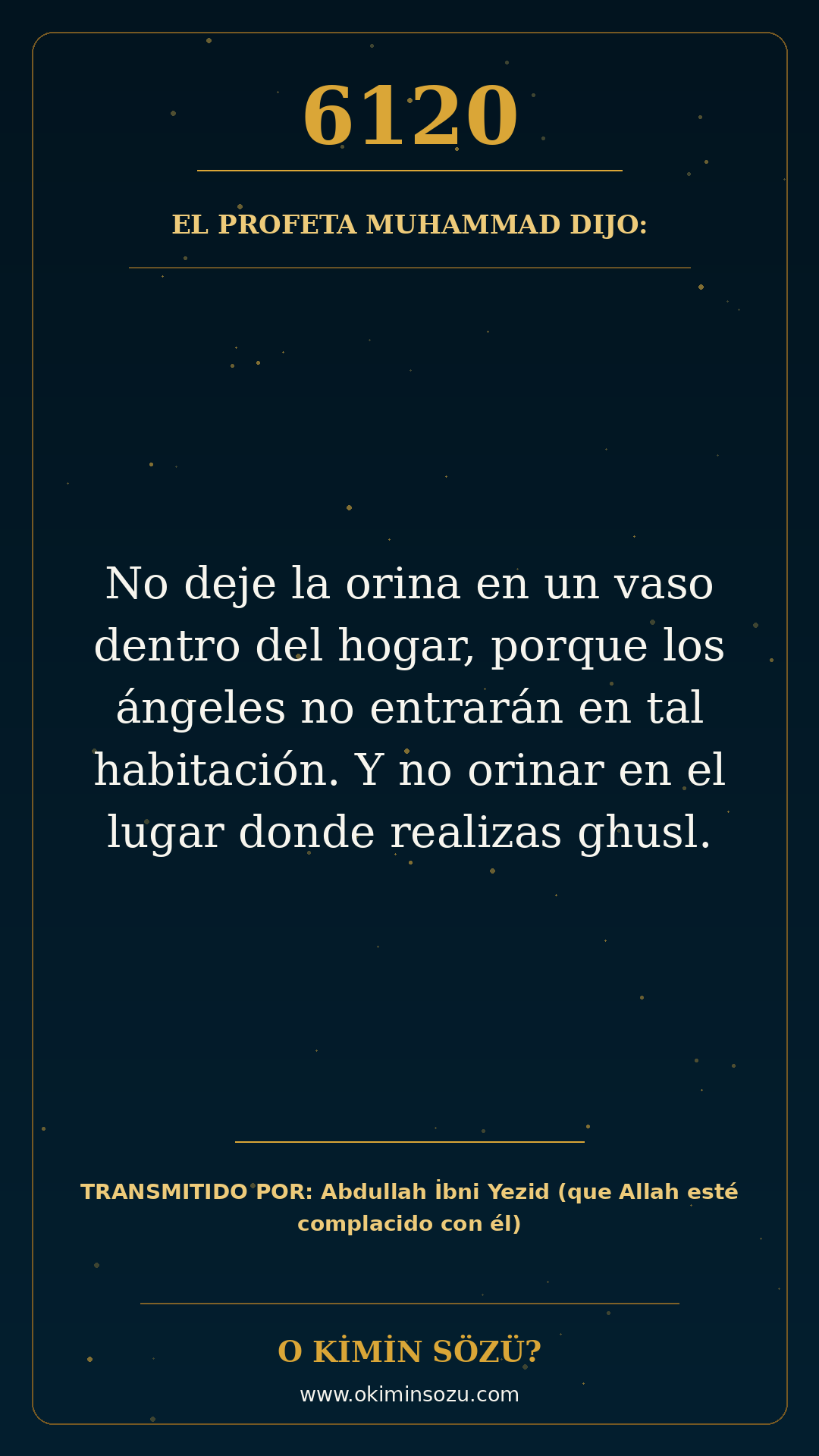 hadis 6120 es
