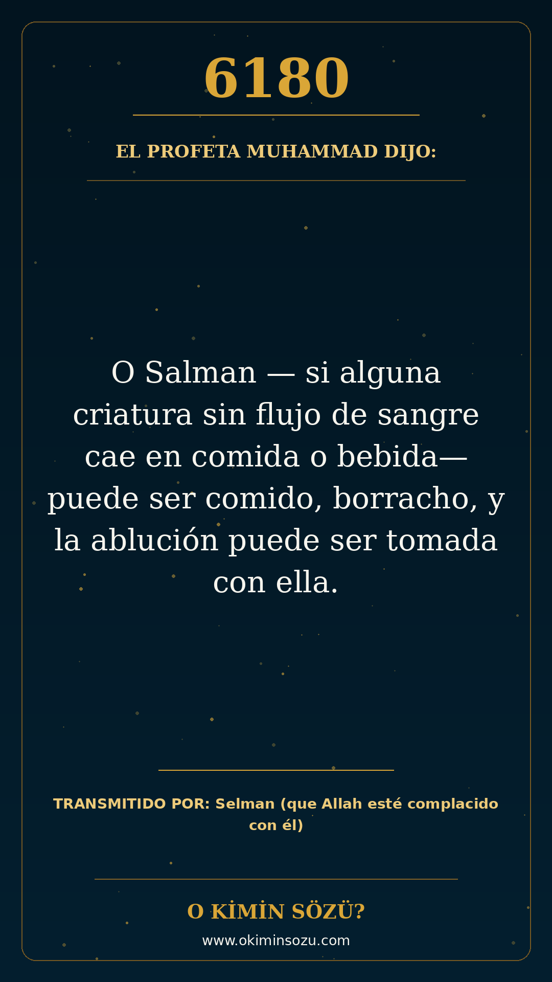 hadis 6180 es
