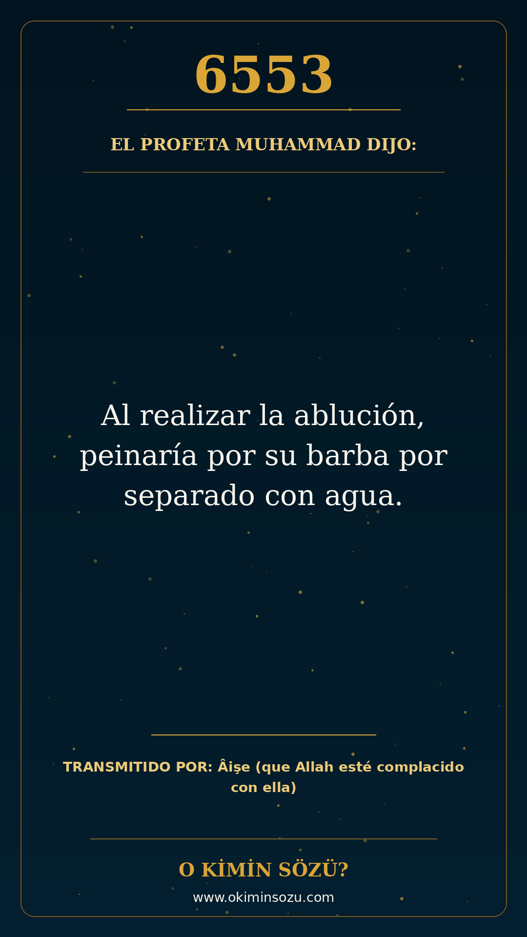 hadis 6553 es