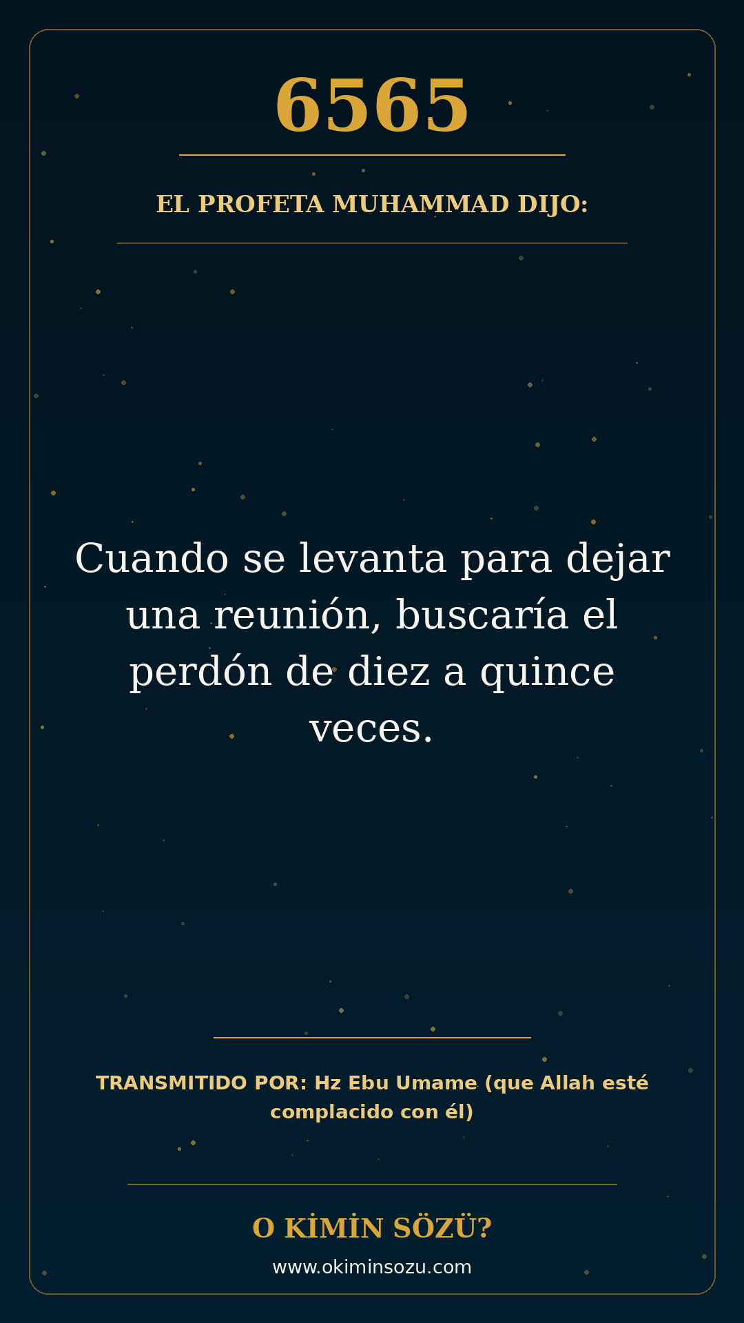 hadis 6565 es
