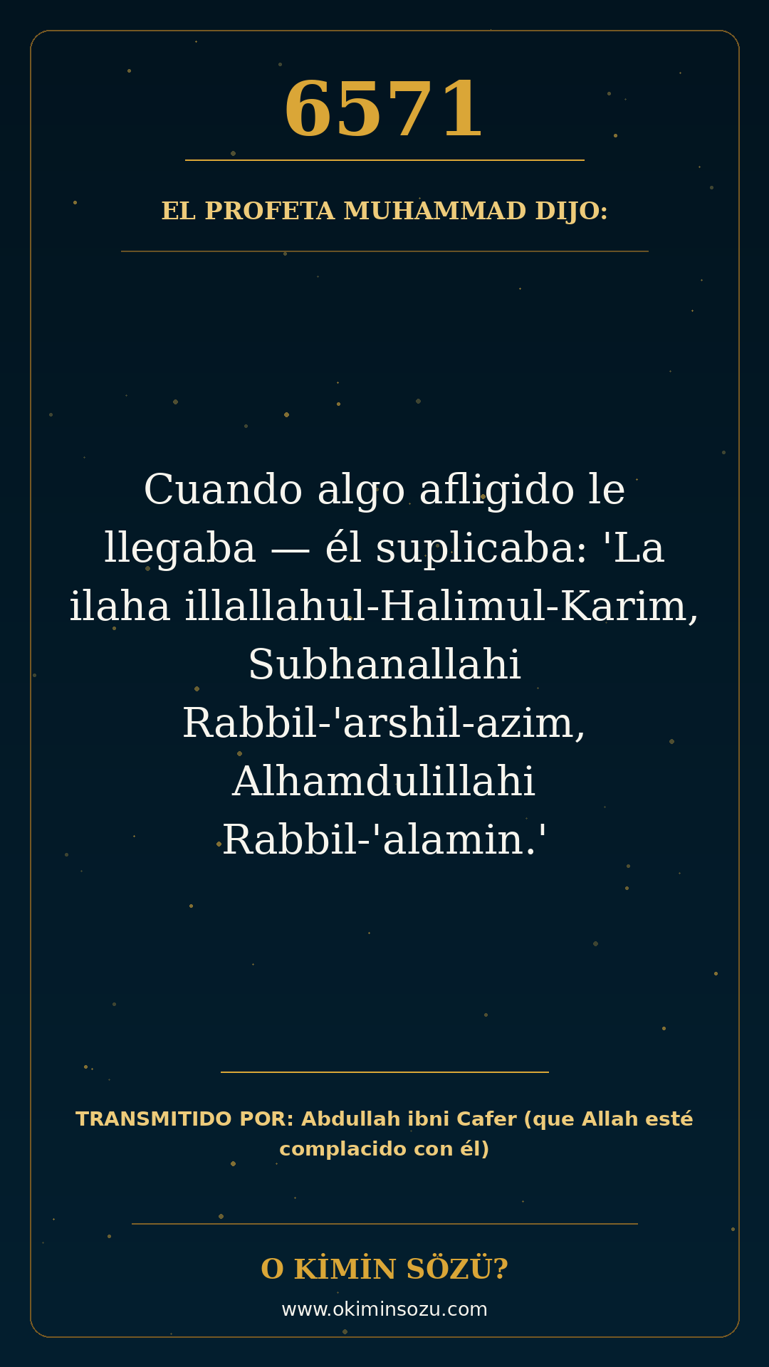 hadis 6571 es
