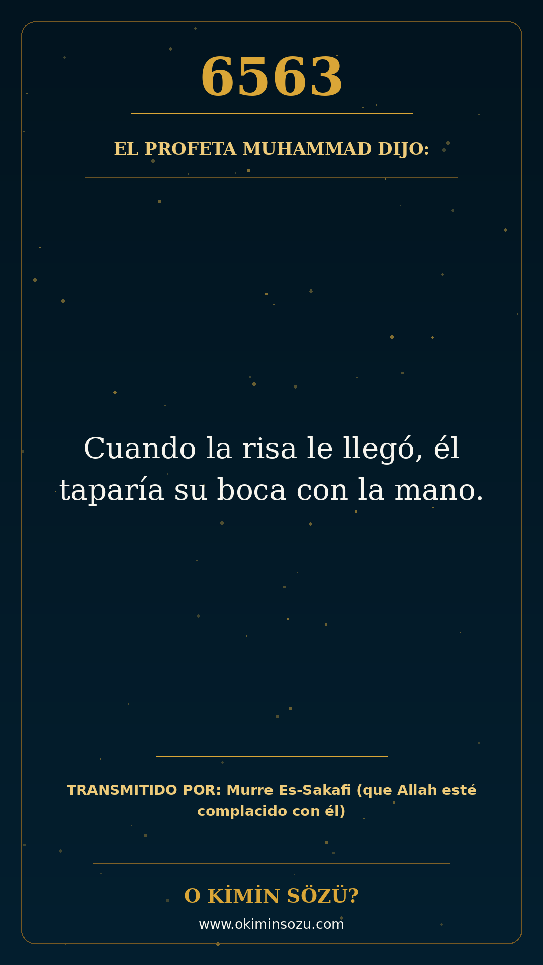 hadis 6563 es