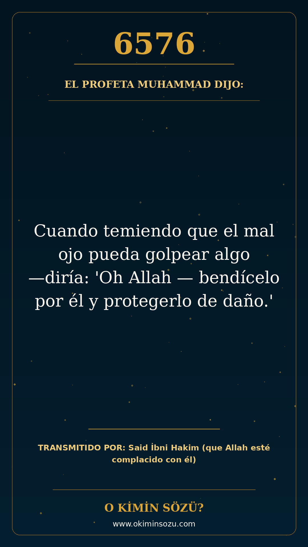 hadis 6576 es
