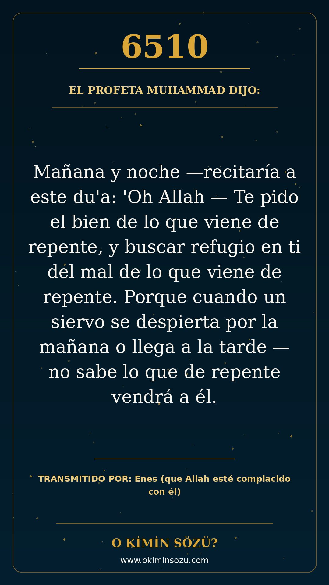 hadis 6510 es
