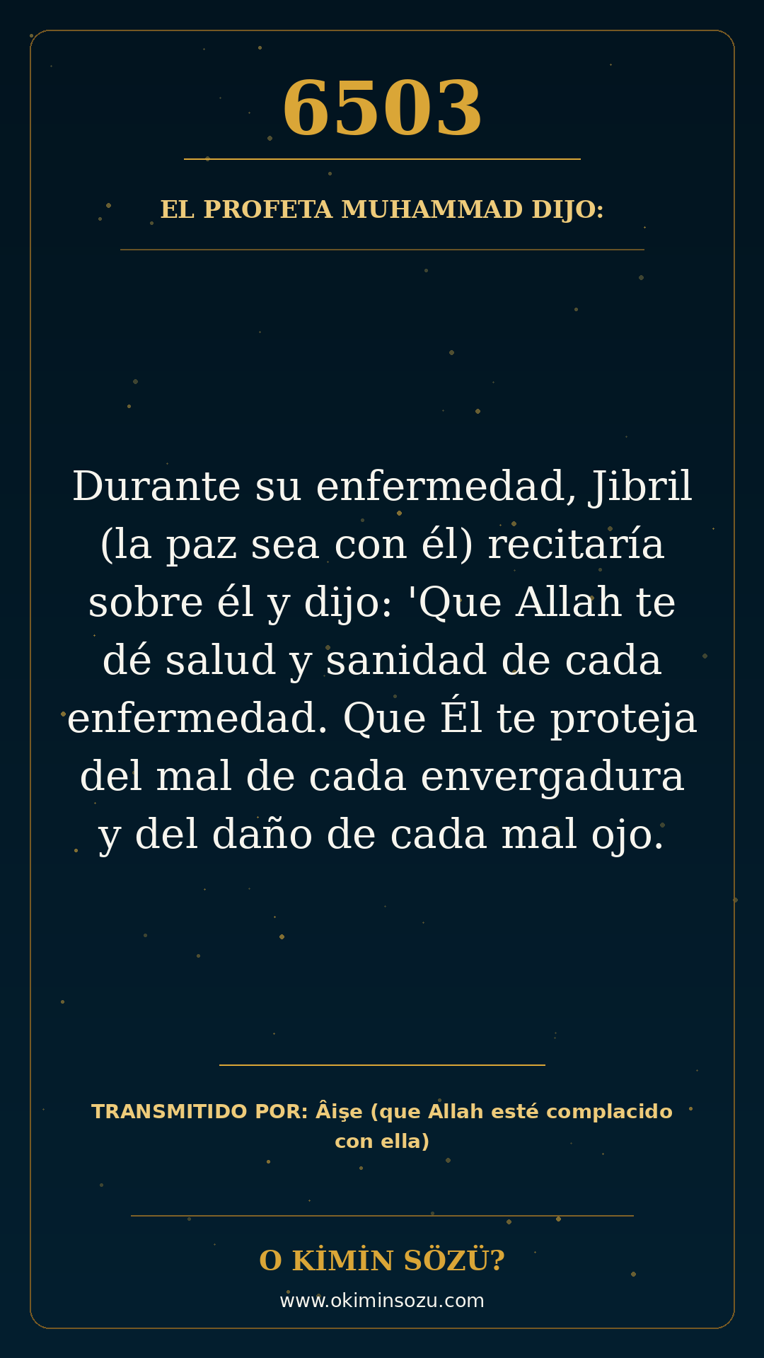 hadis 6503 es