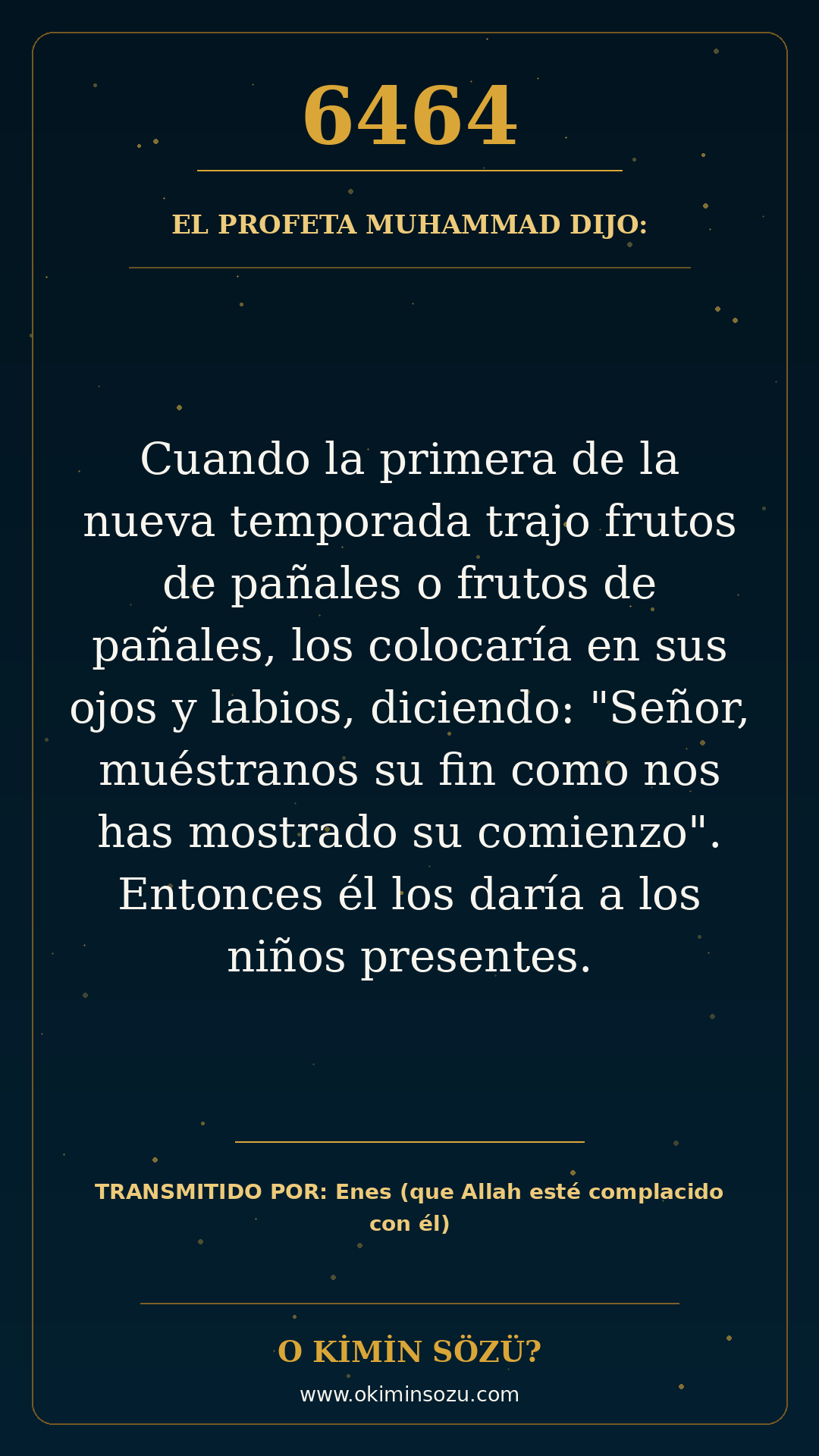 hadis 6464 es