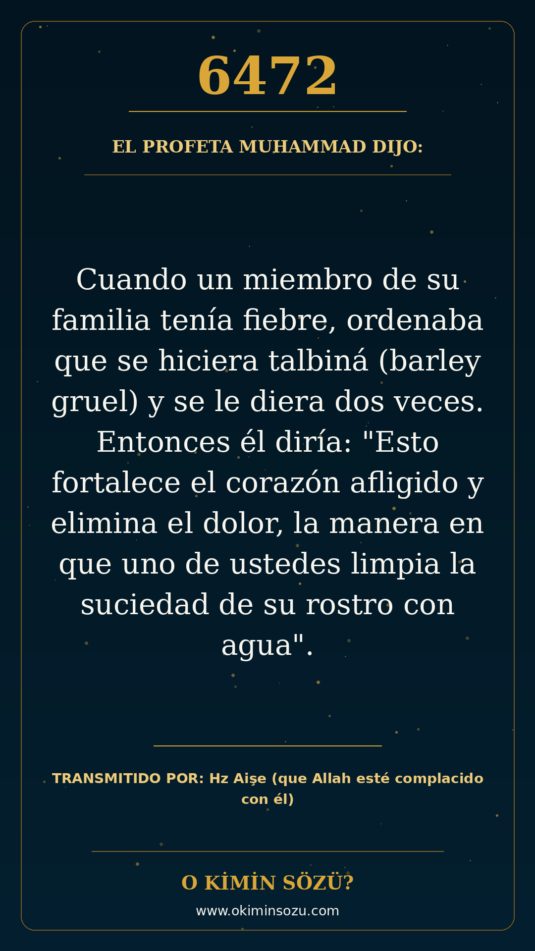 hadis 6472 es