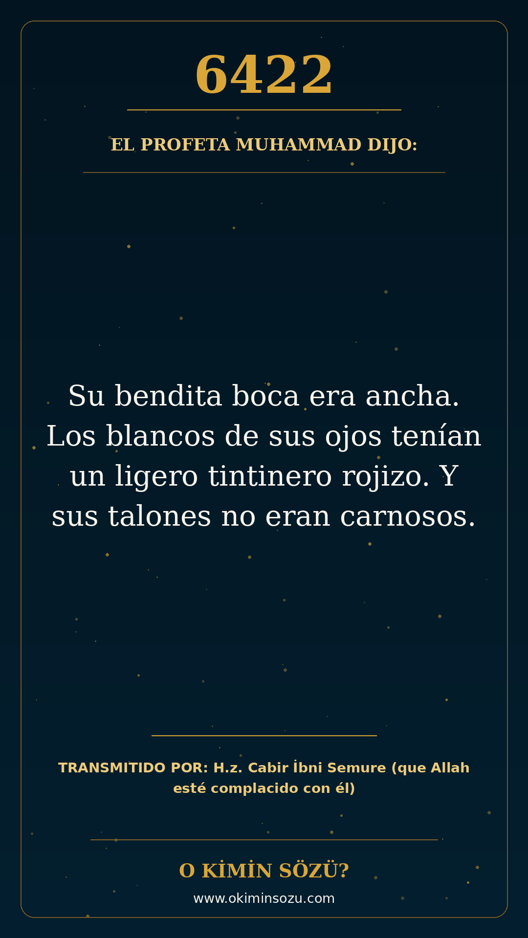 hadis 6422 es