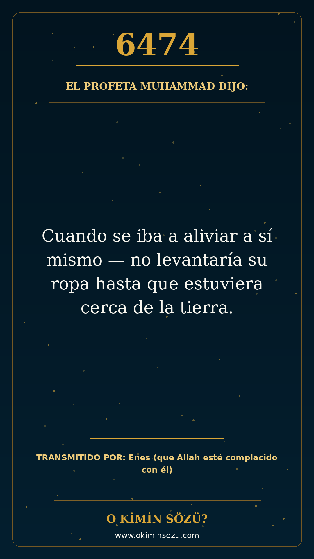 hadis 6474 es