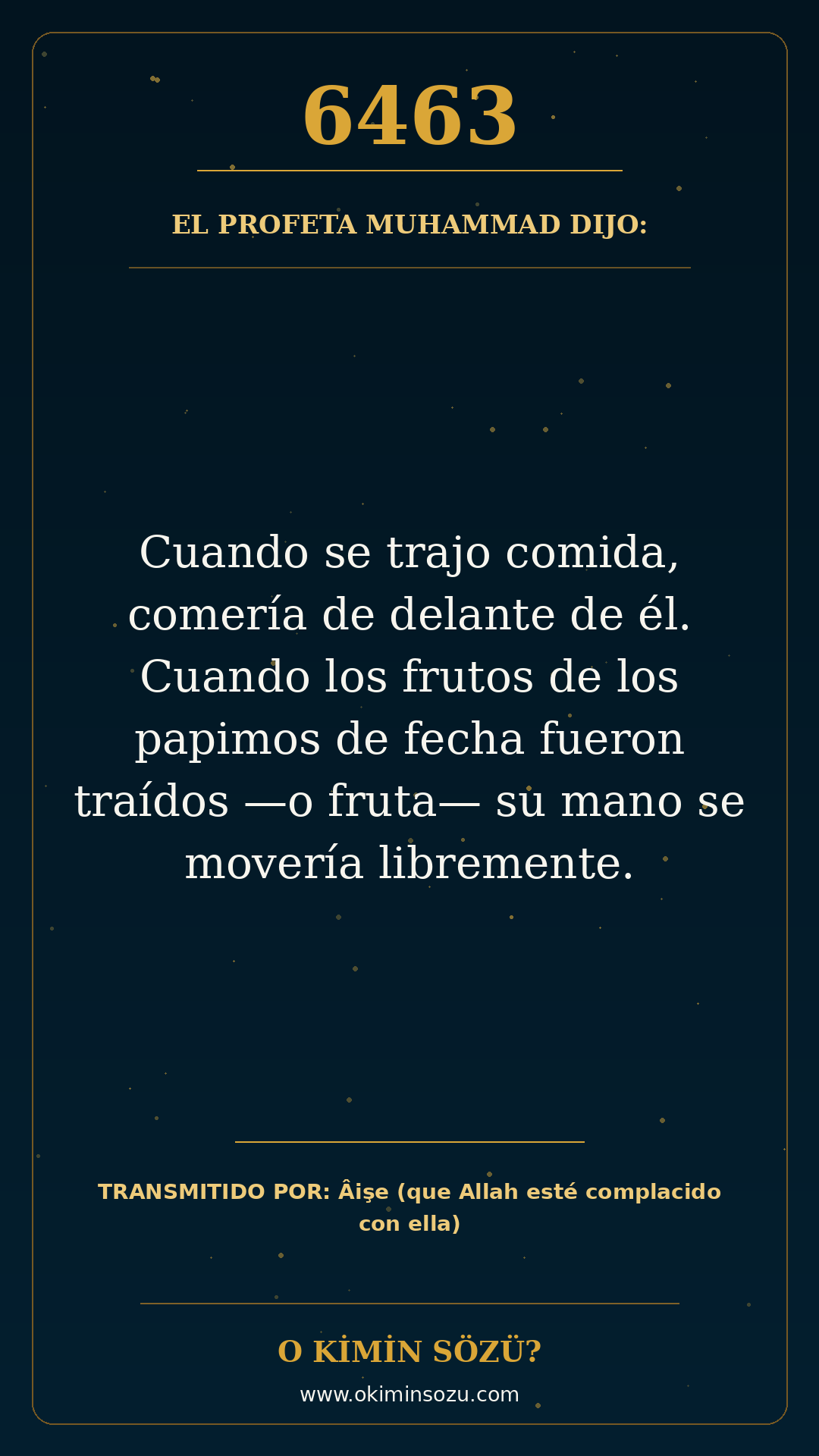 hadis 6463 es