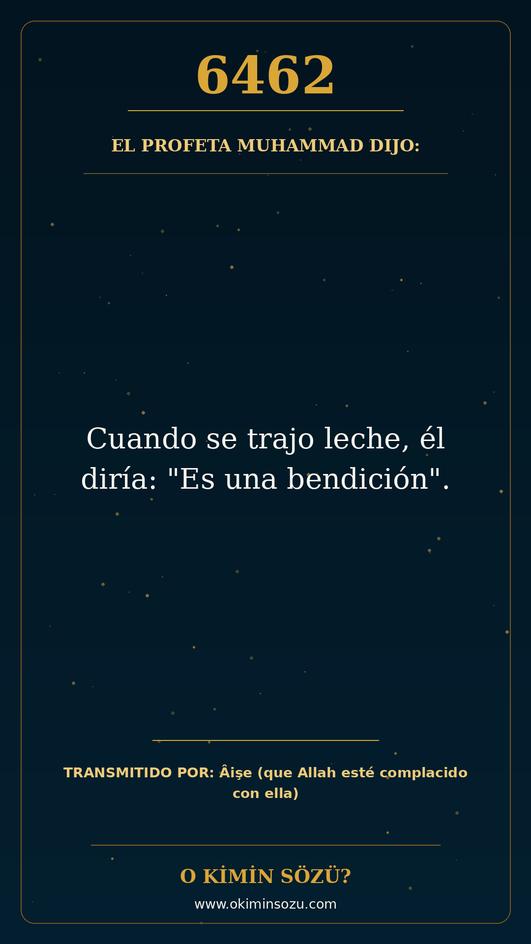 hadis 6462 es