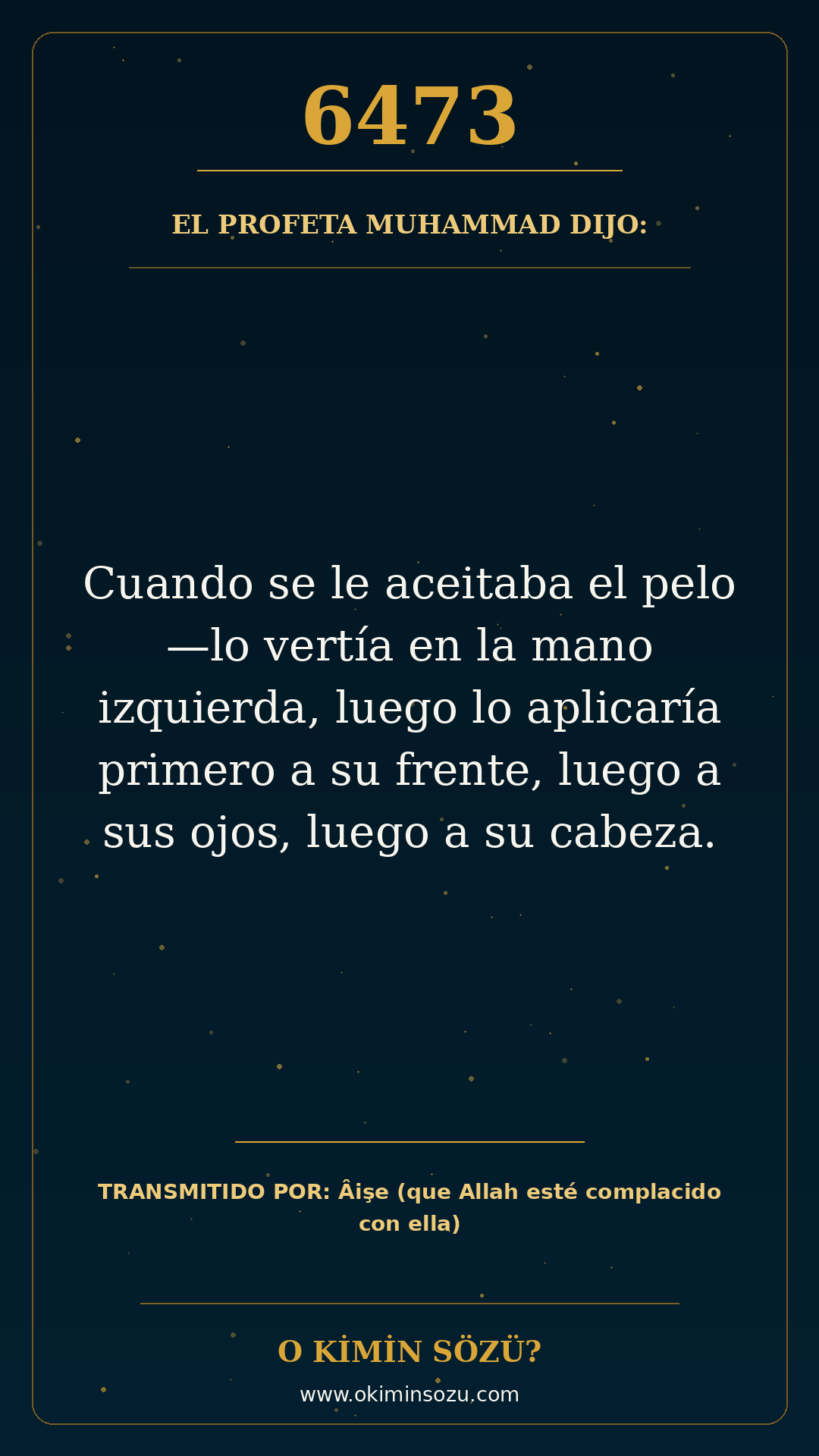 hadis 6473 es