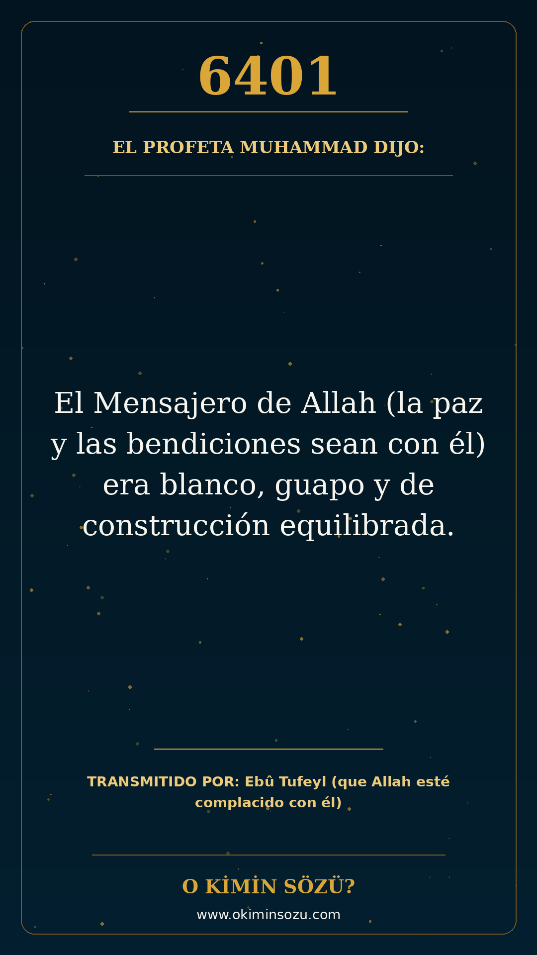 hadis 6401 es