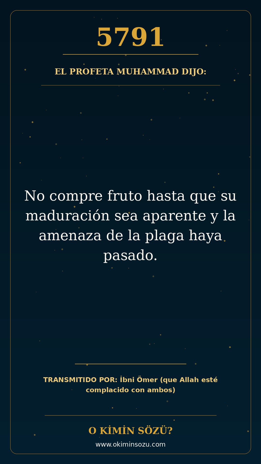 hadis 5791 es