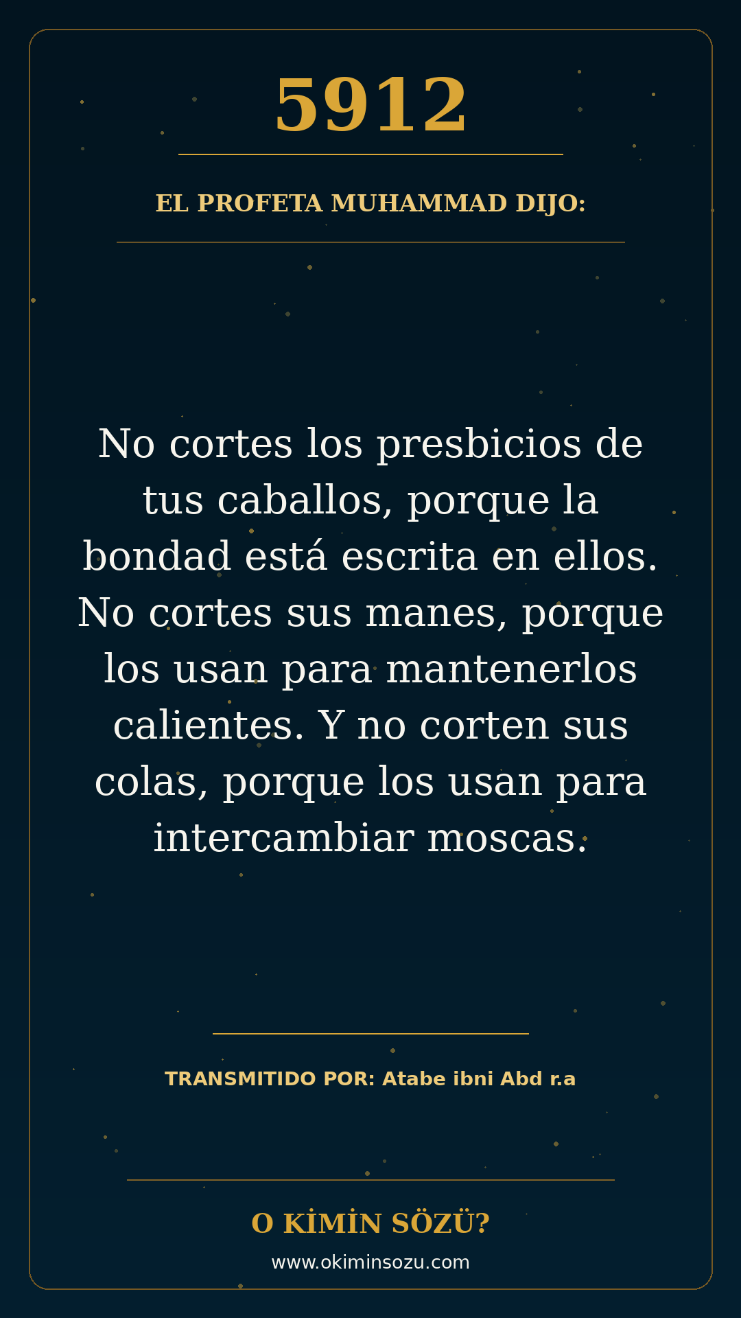 hadis 5912 es