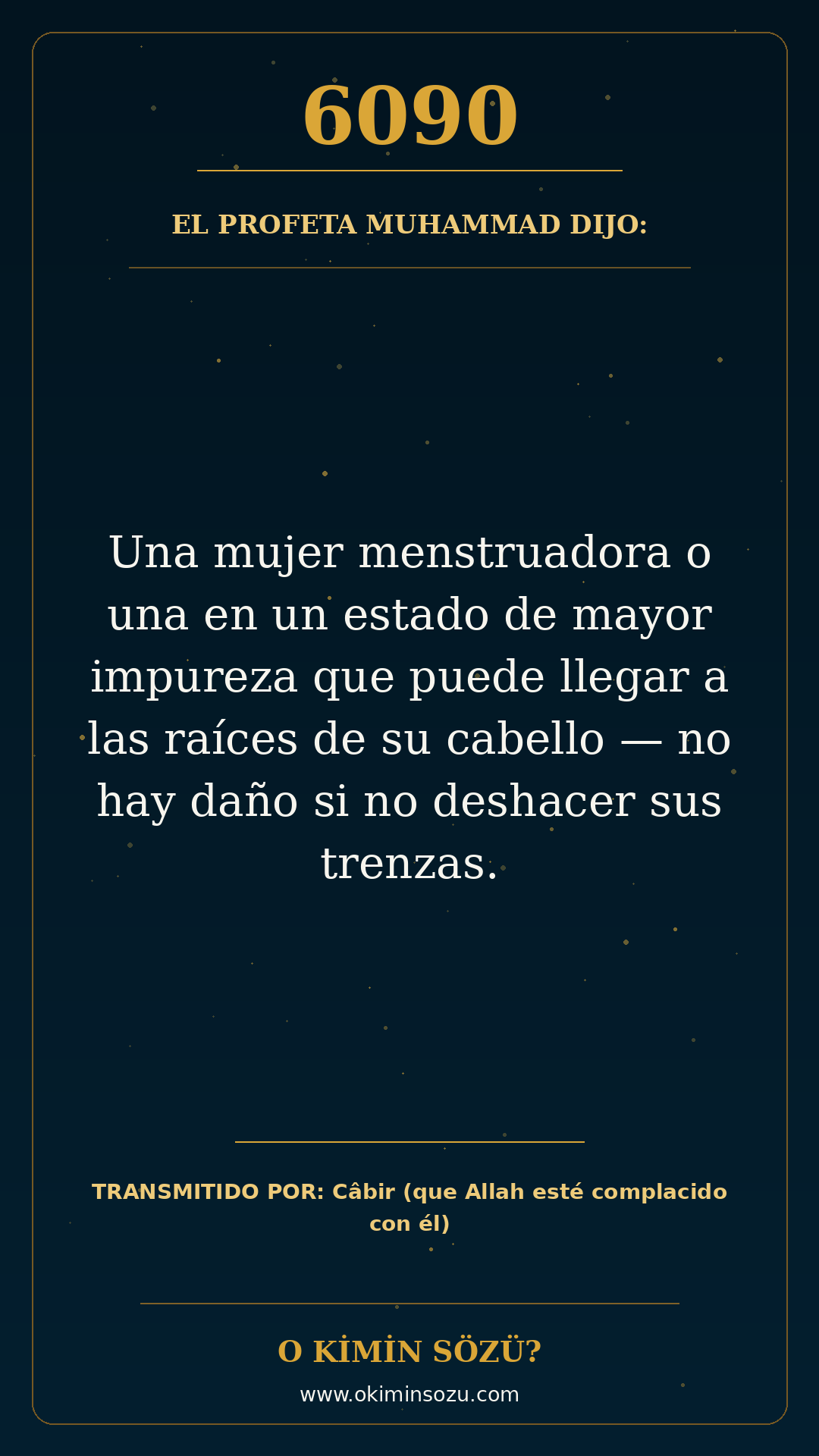 hadis 6090 es