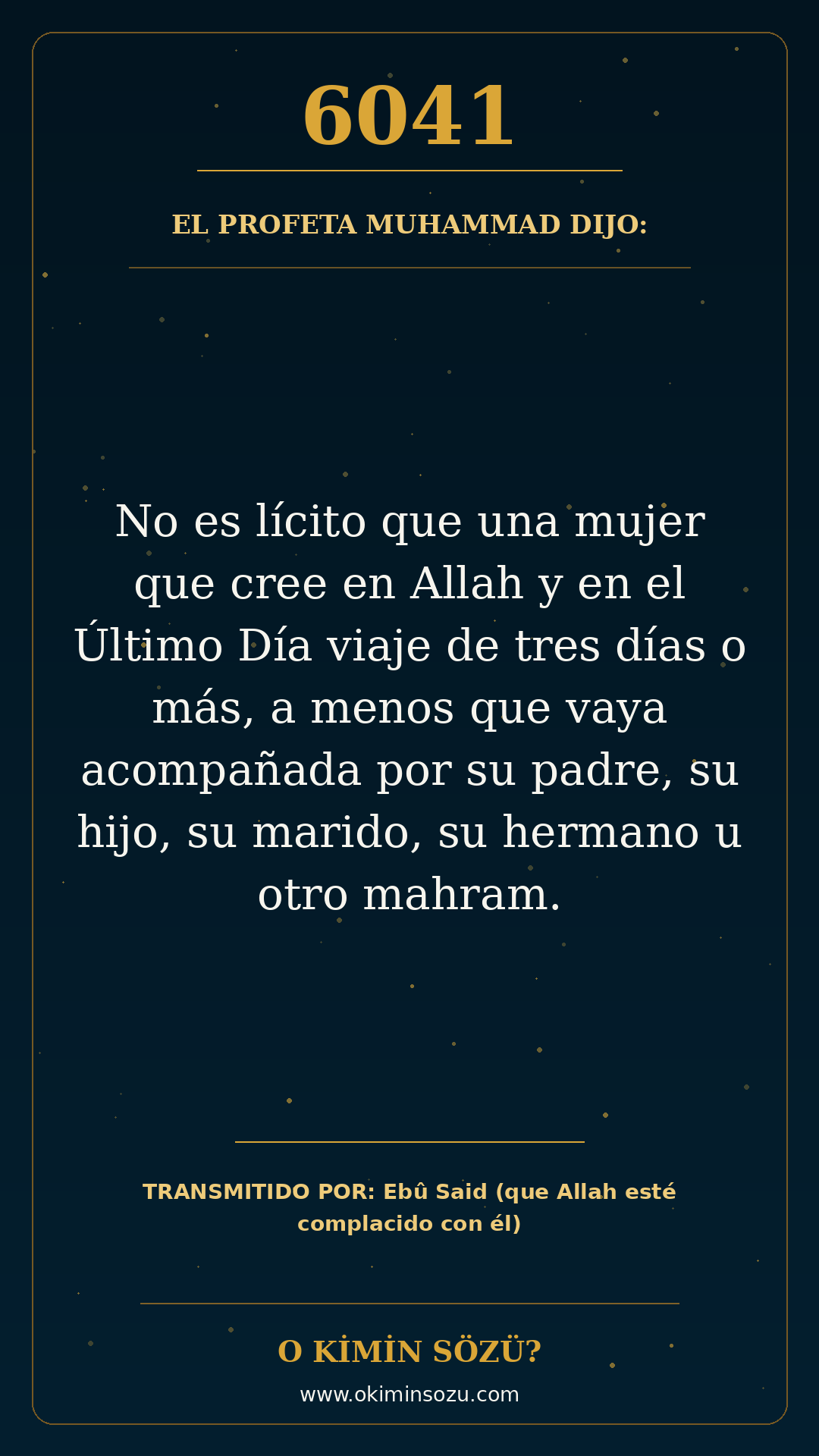 hadis 6041 es