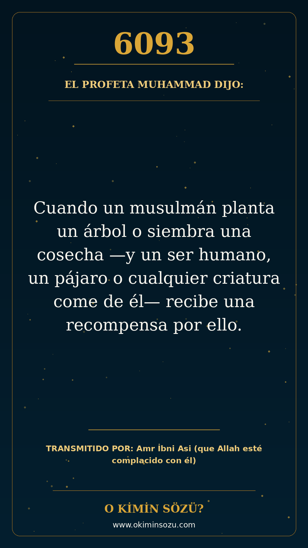hadis 6093 es