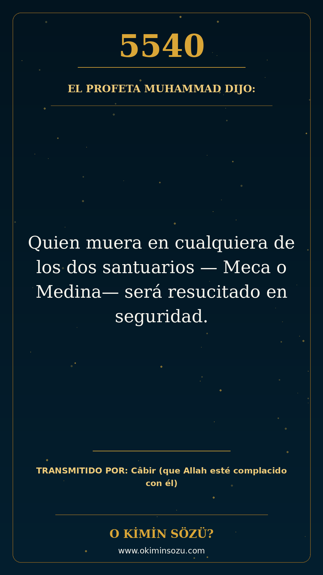 hadis 5540 es