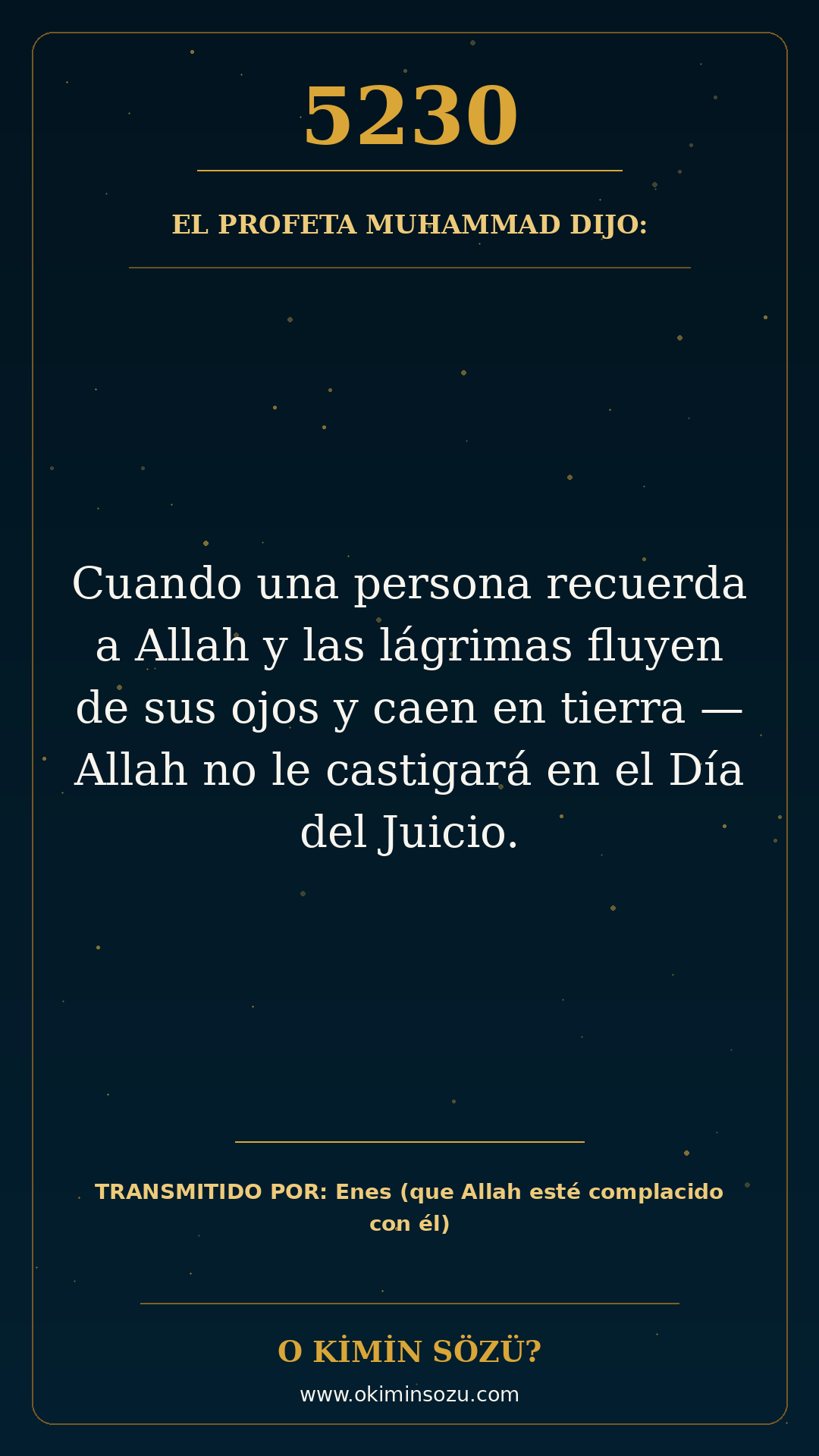 hadis 5230 es
