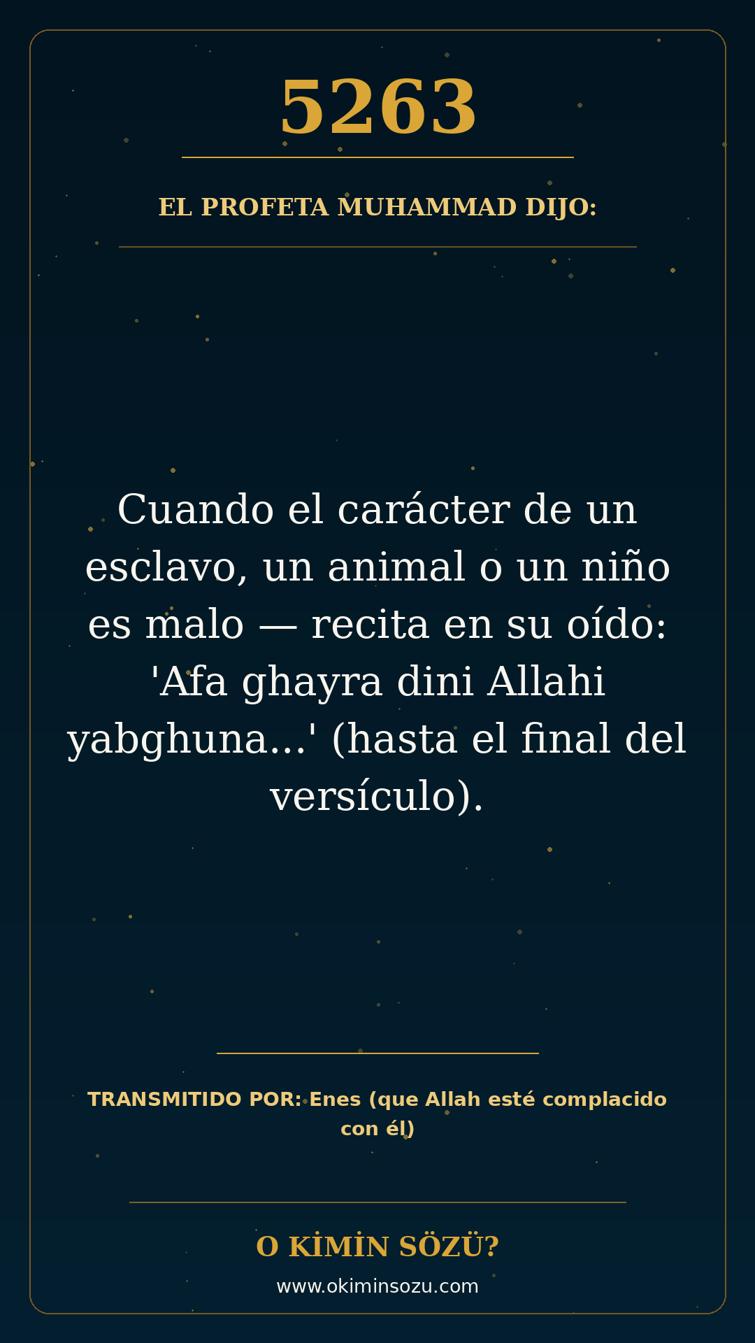 hadis 5263 es