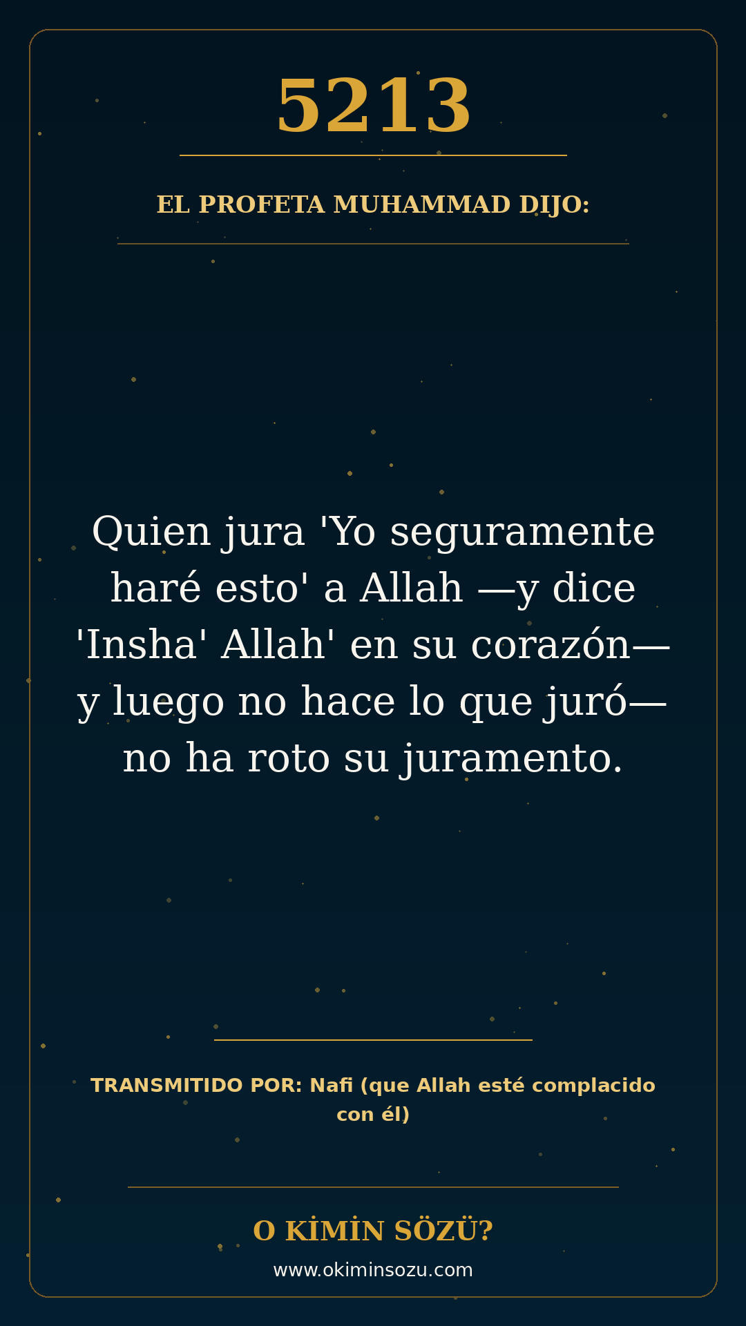 hadis 5213 es