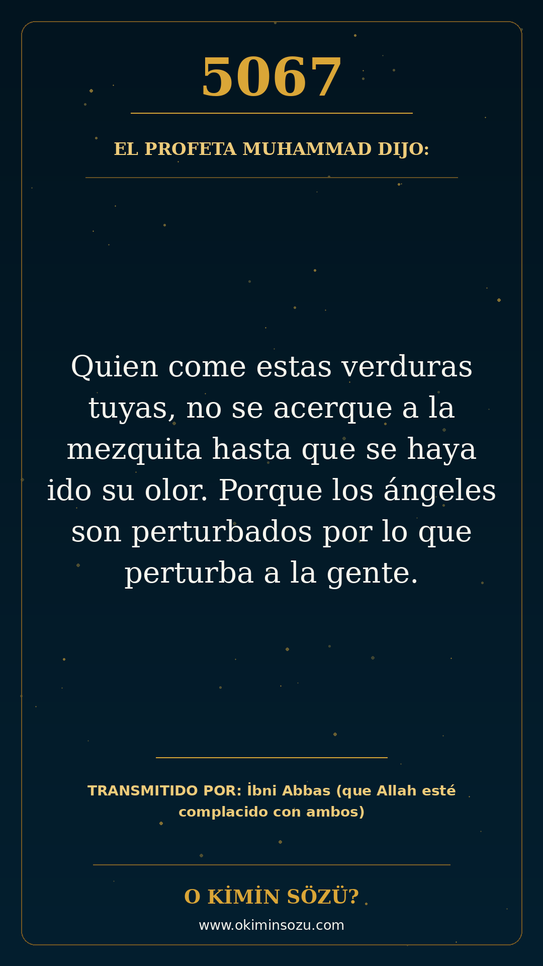 hadis 5067 es