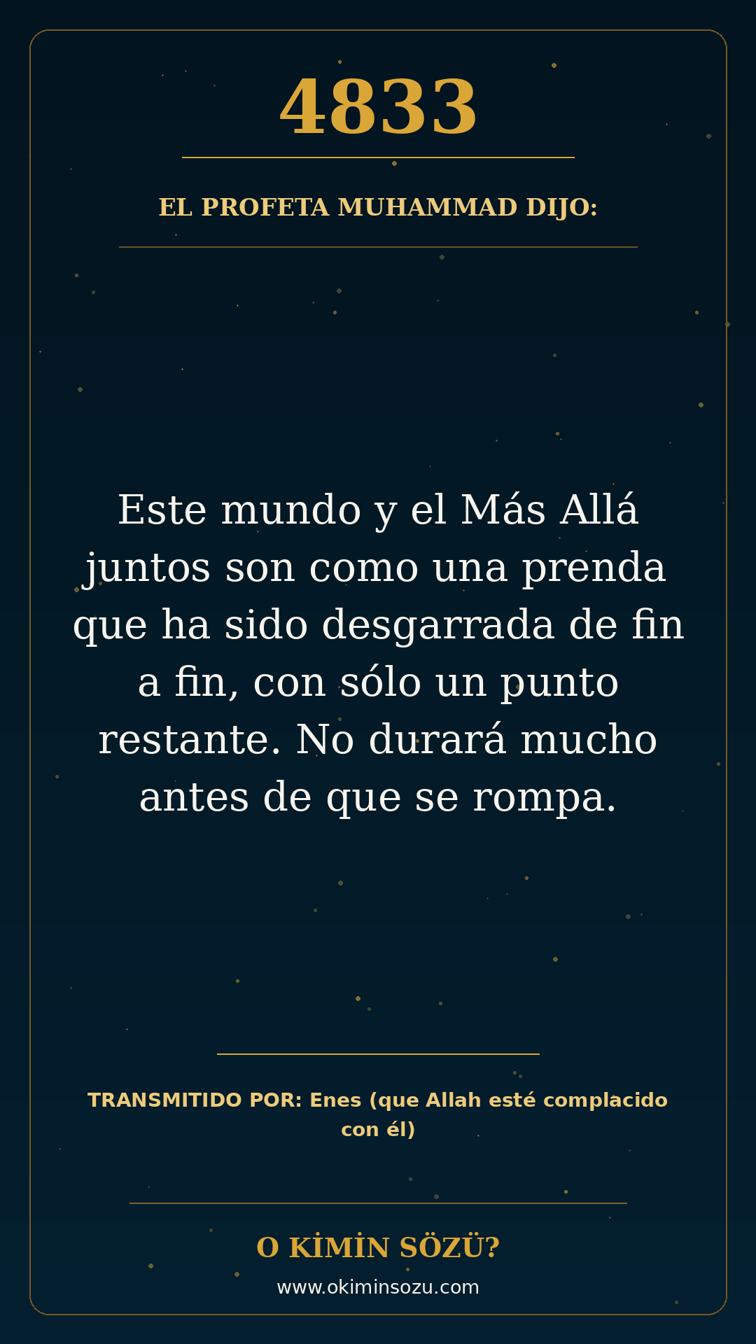 hadis 4833 es