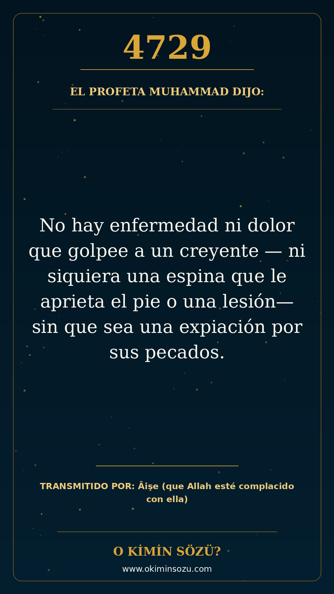 hadis 4729 es