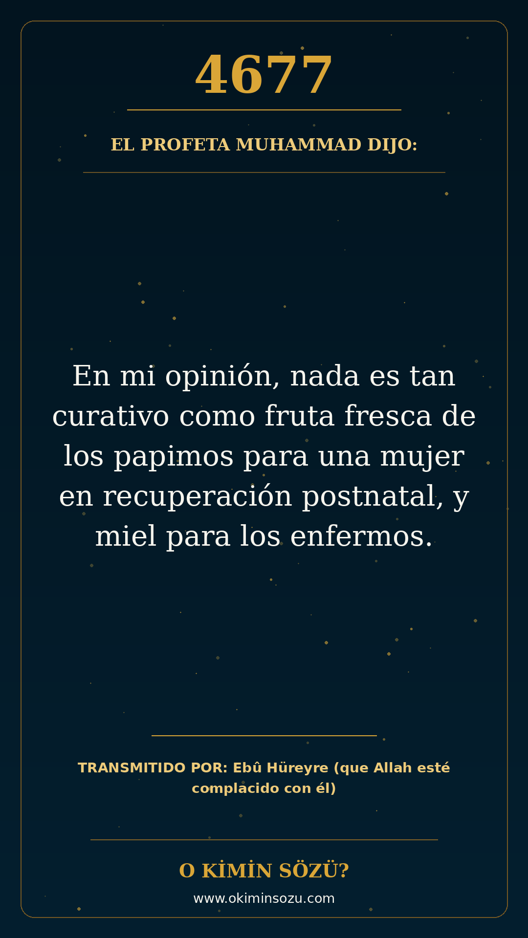hadis 4677 es