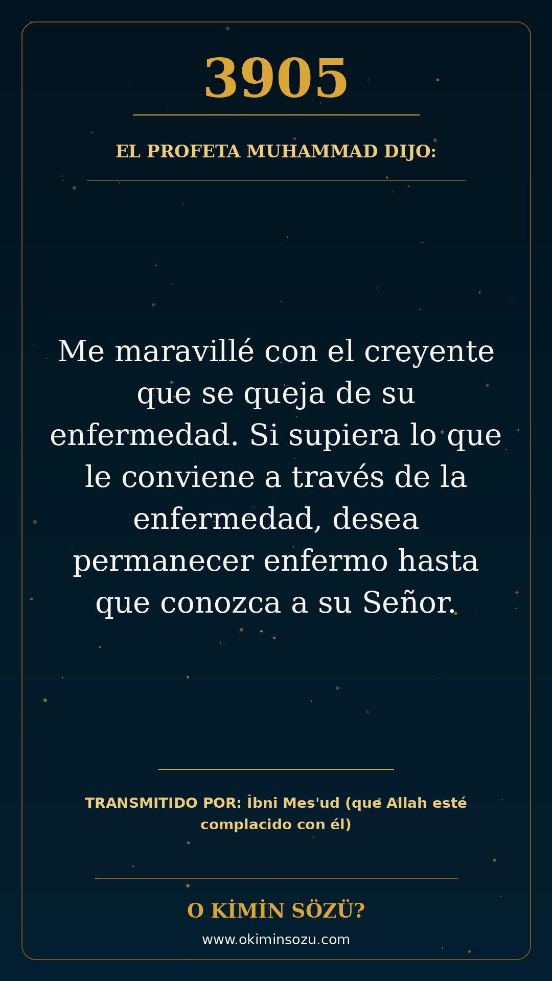 hadis 3905 es