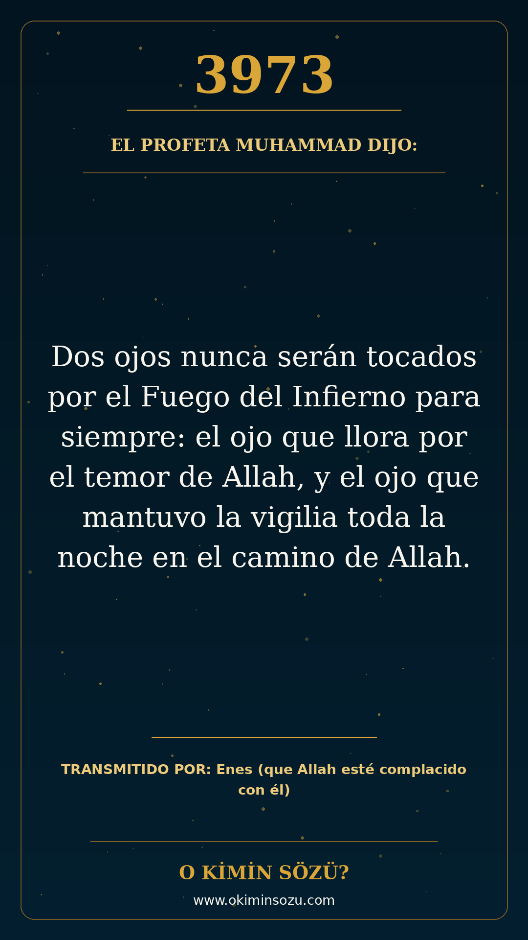 hadis 3973 es