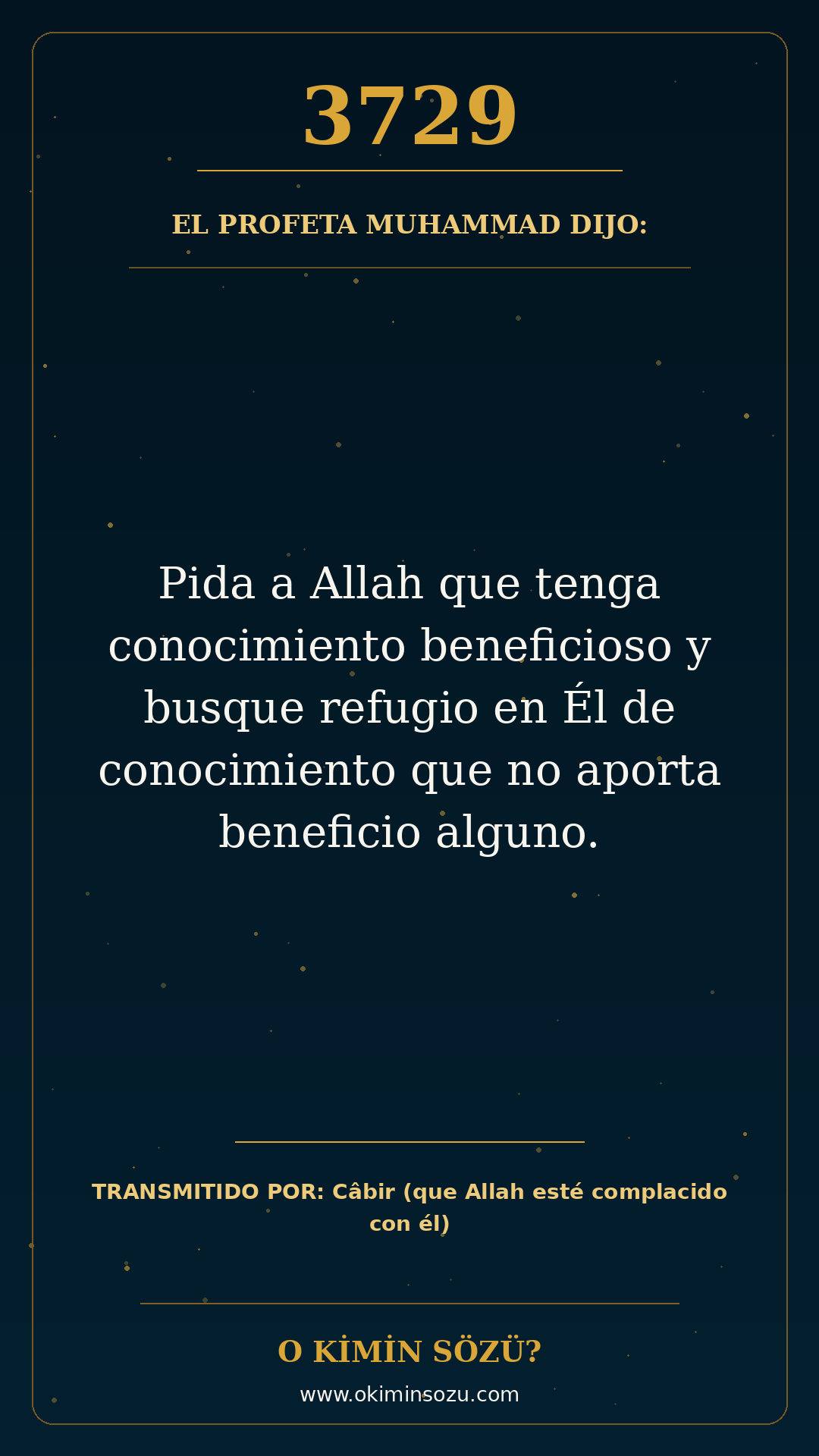 hadis 3729 es