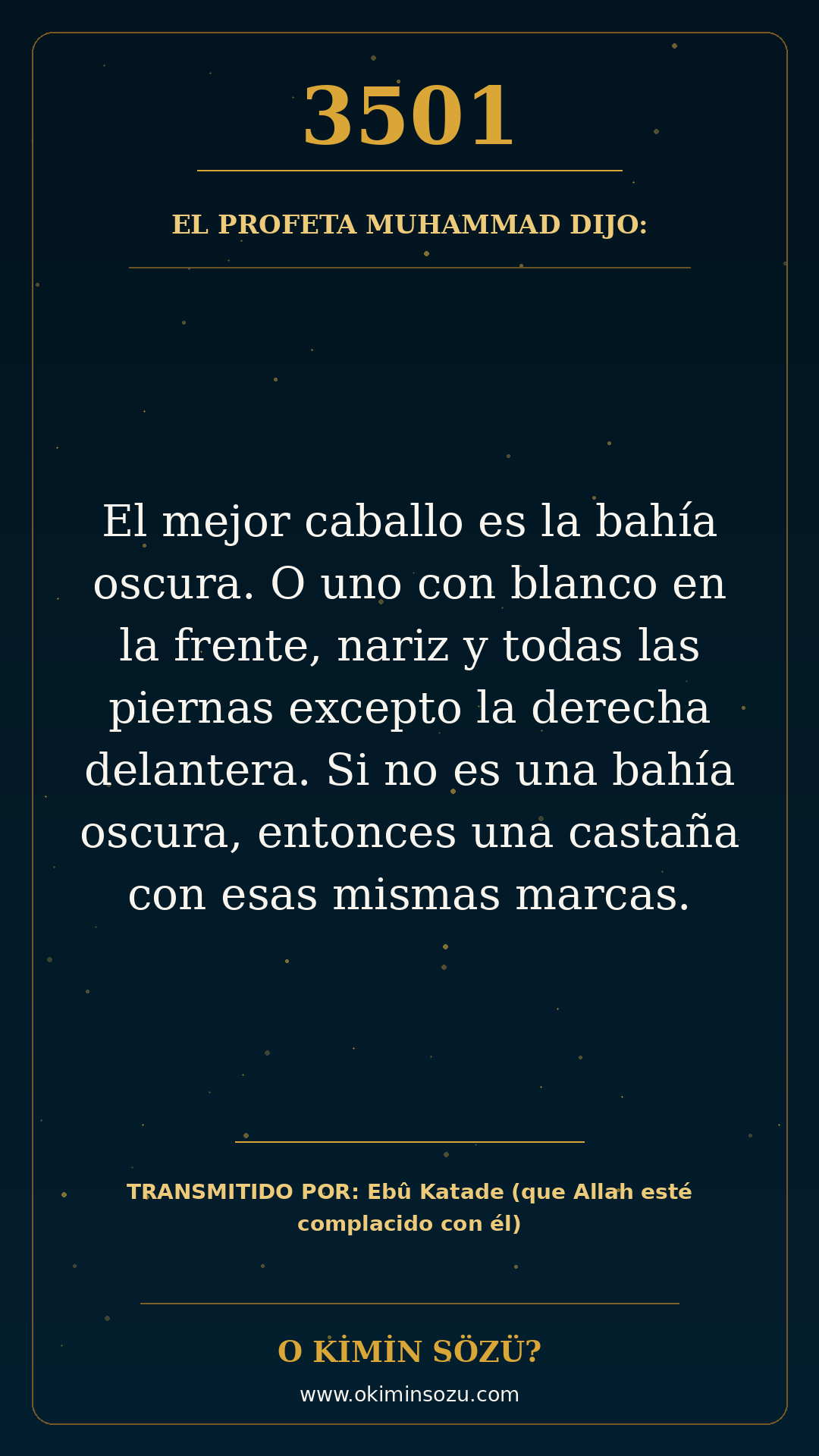 hadis 3501 es