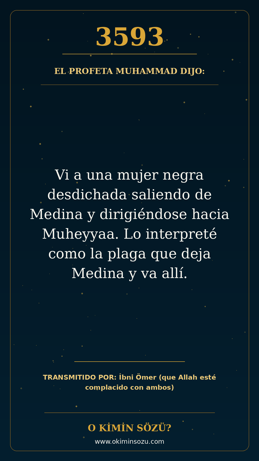 hadis 3593 es