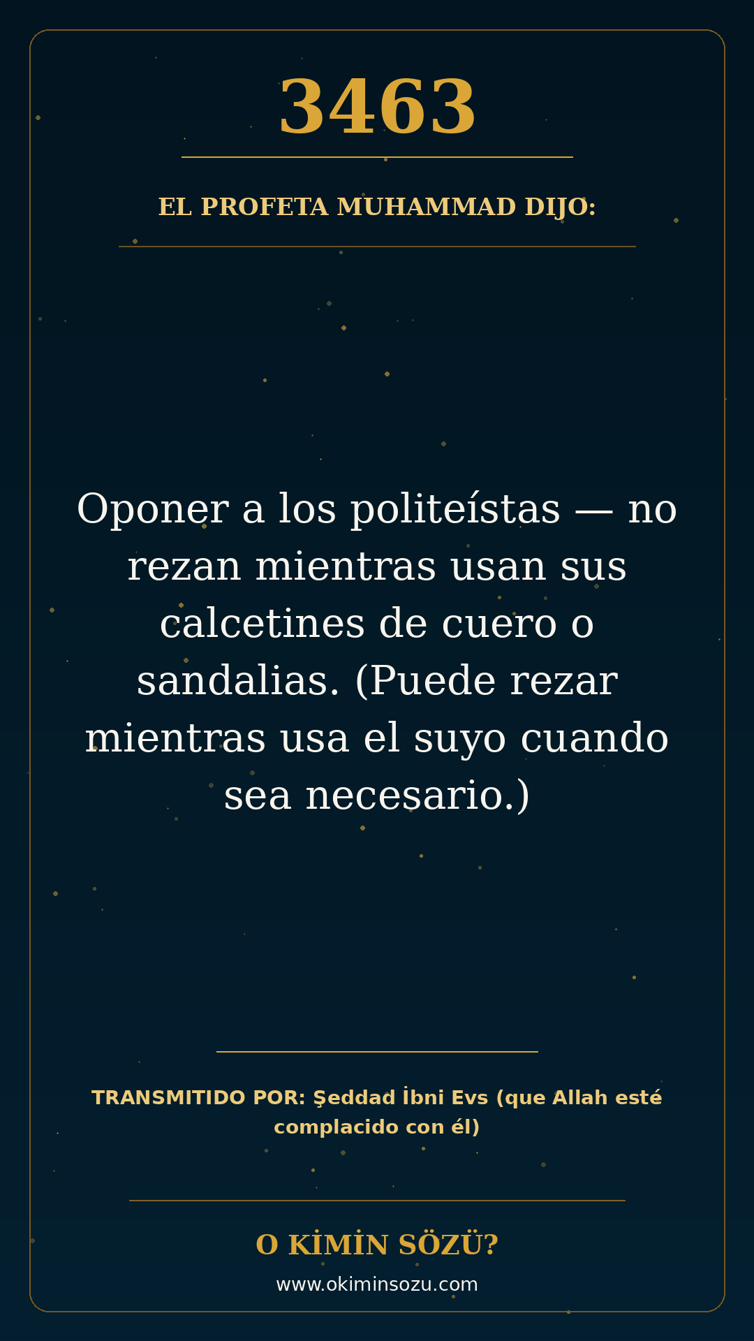 hadis 3463 es