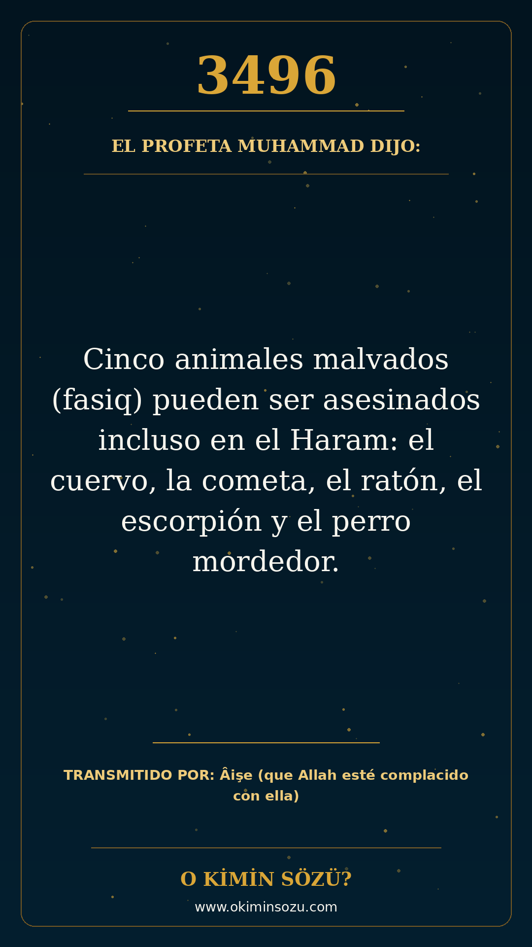 hadis 3496 es