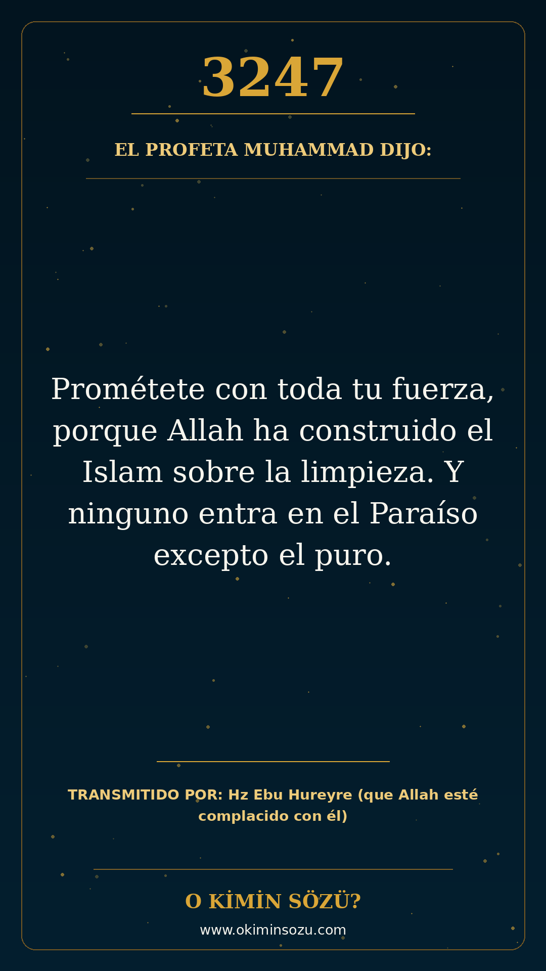 hadis 3247 es