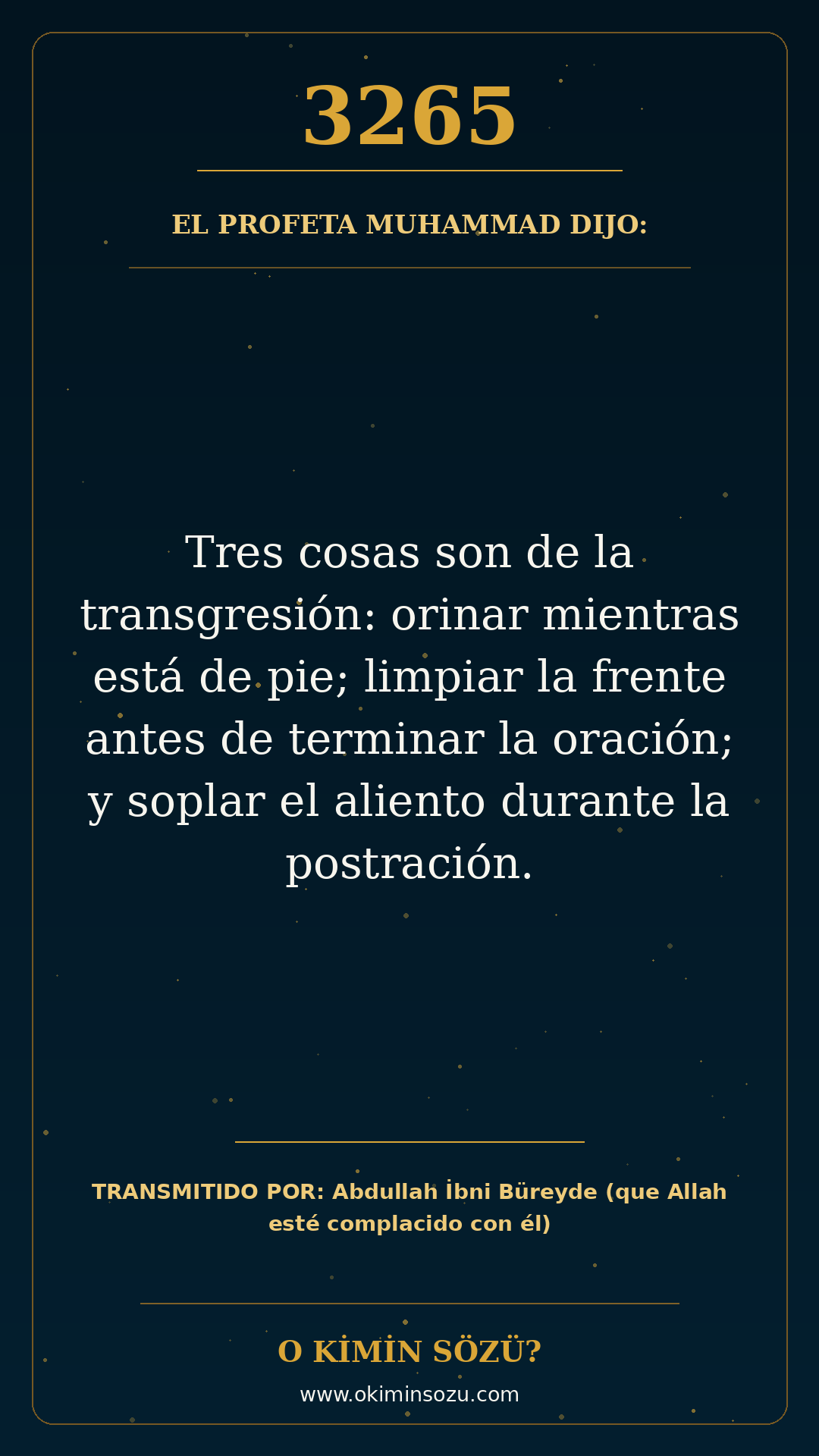hadis 3265 es