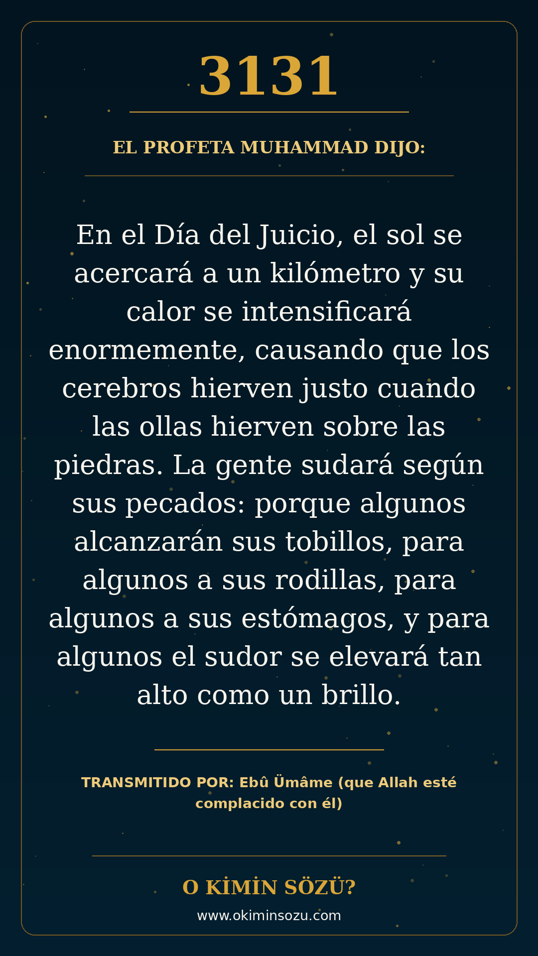 hadis 3131 es