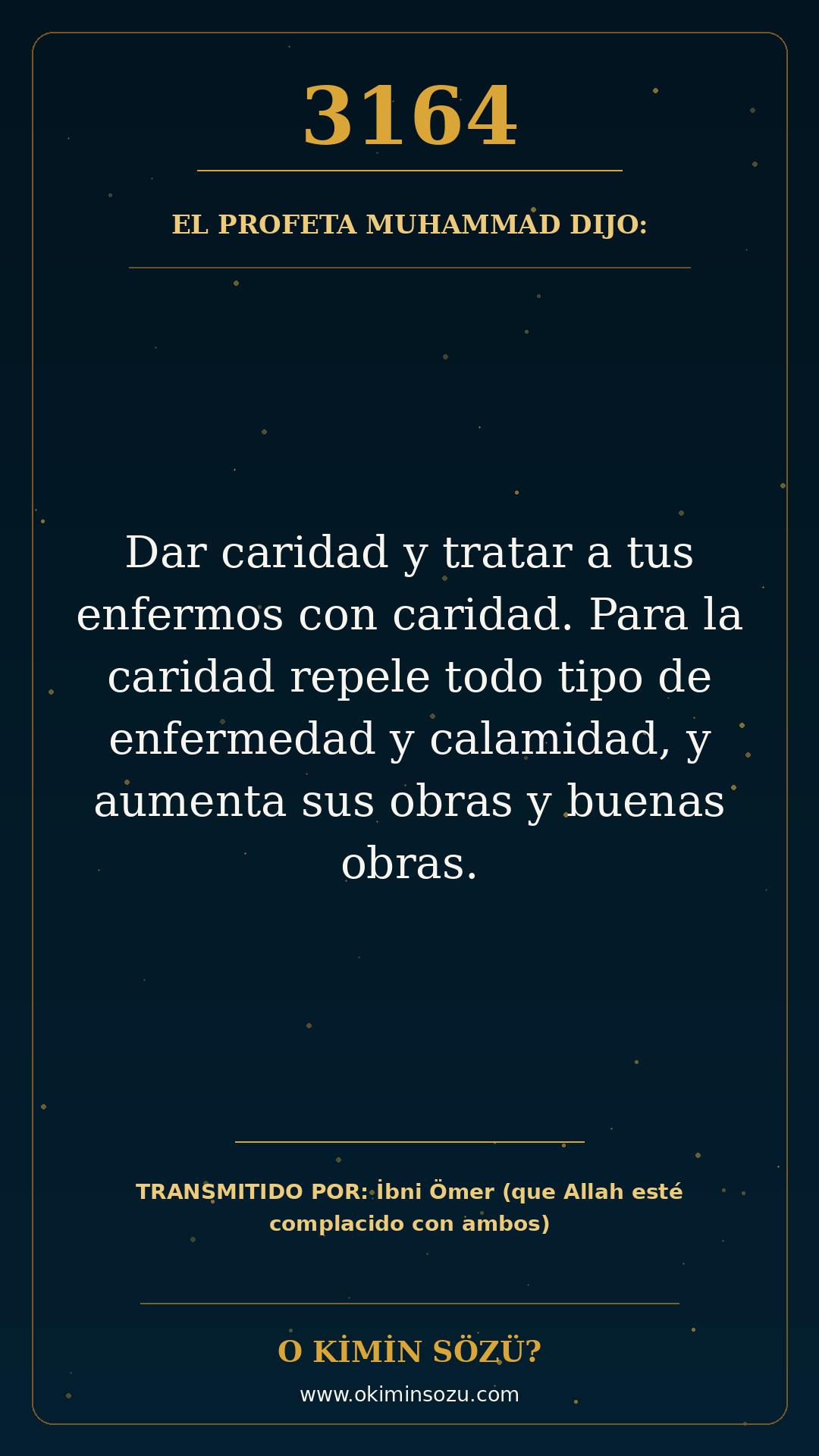 hadis 3164 es