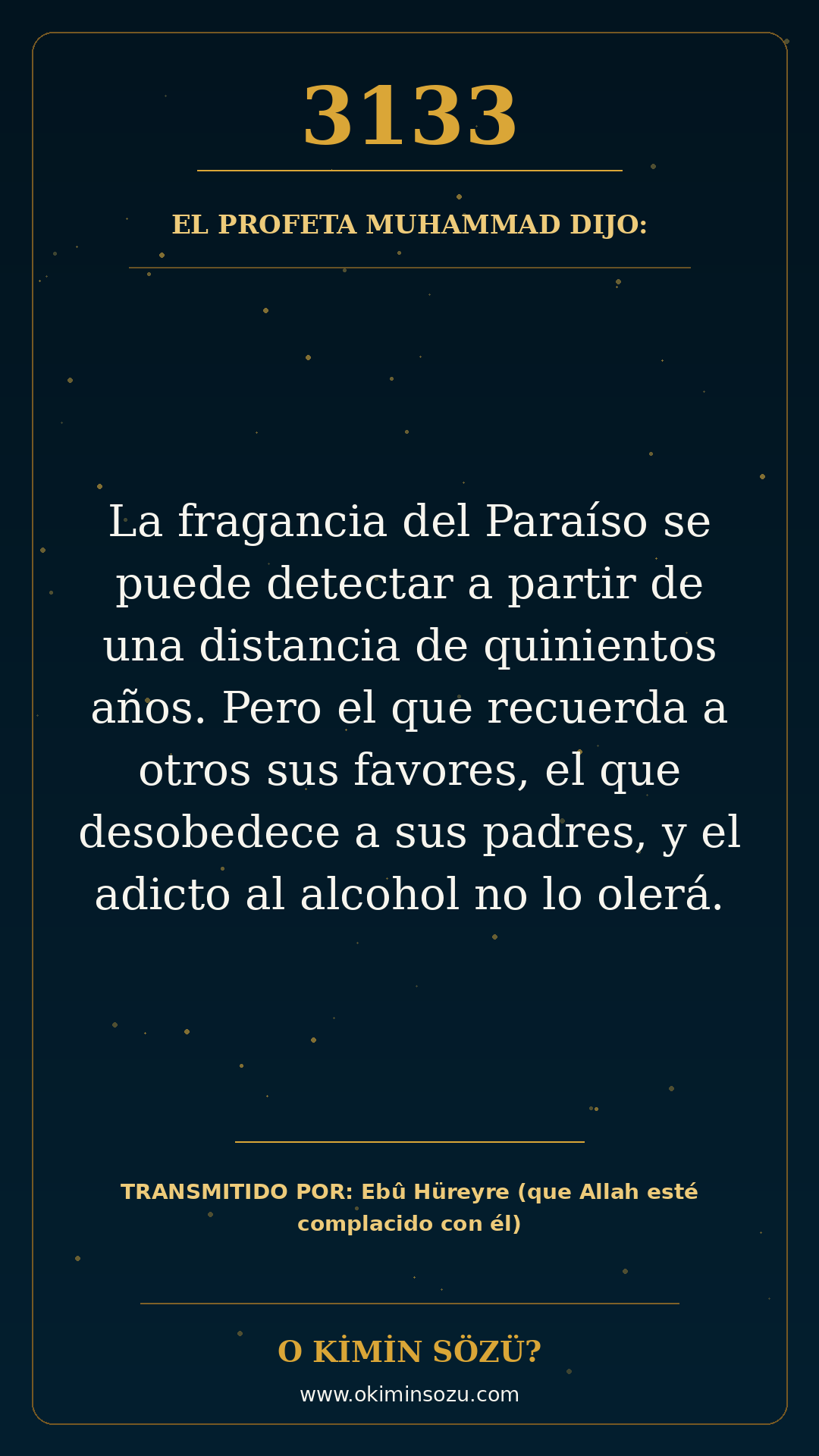 hadis 3133 es