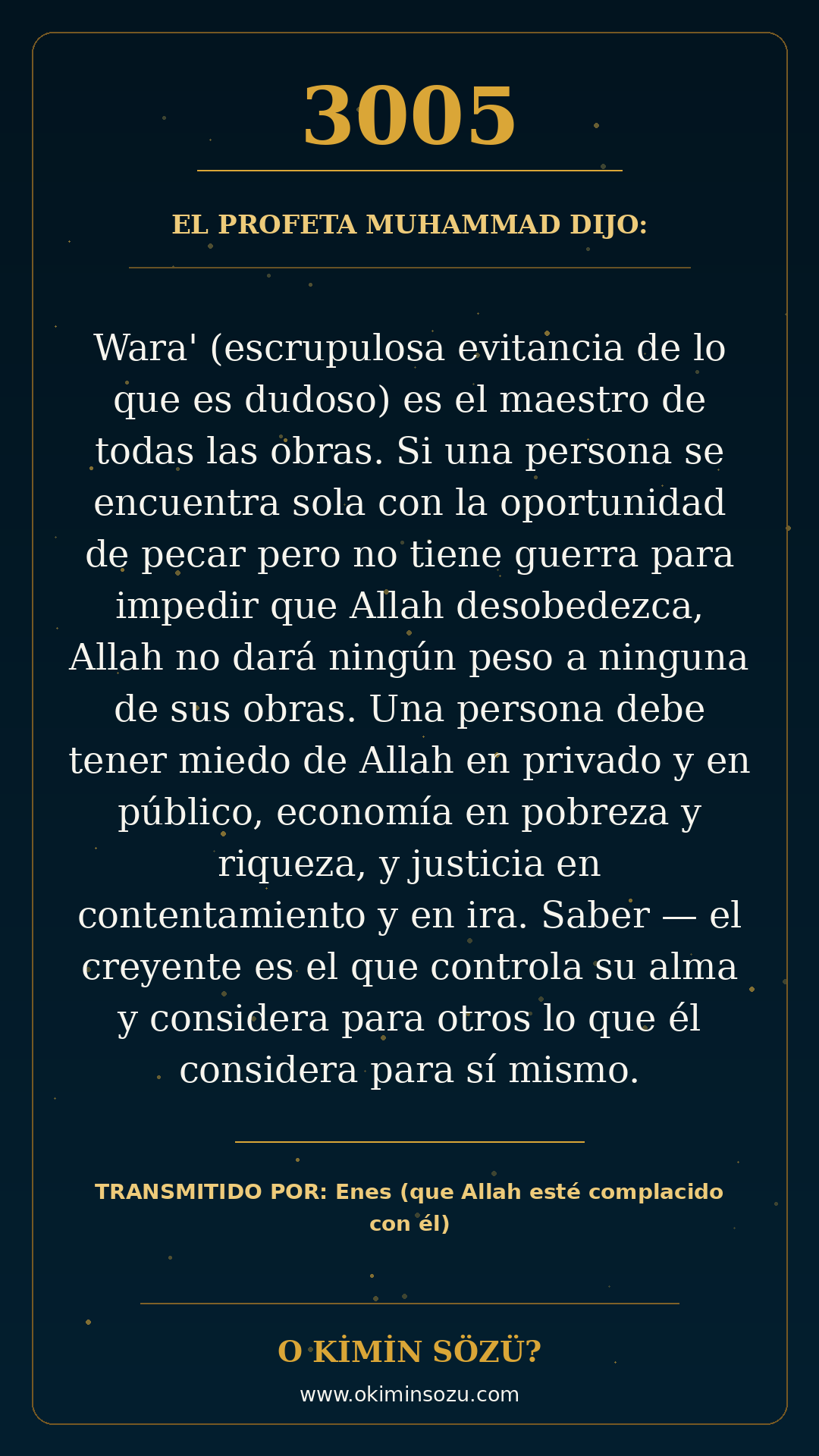 hadis 3005 es